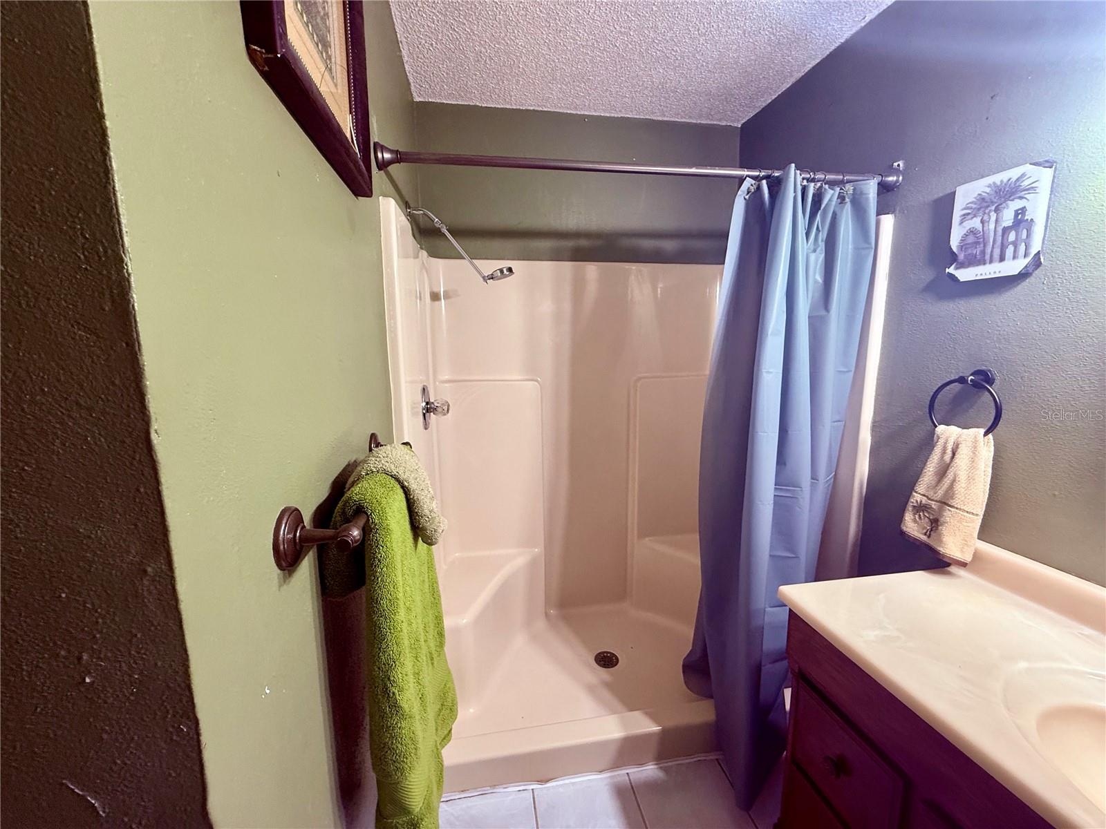Image 29 of 69 For 3338 Fernleaf Drive