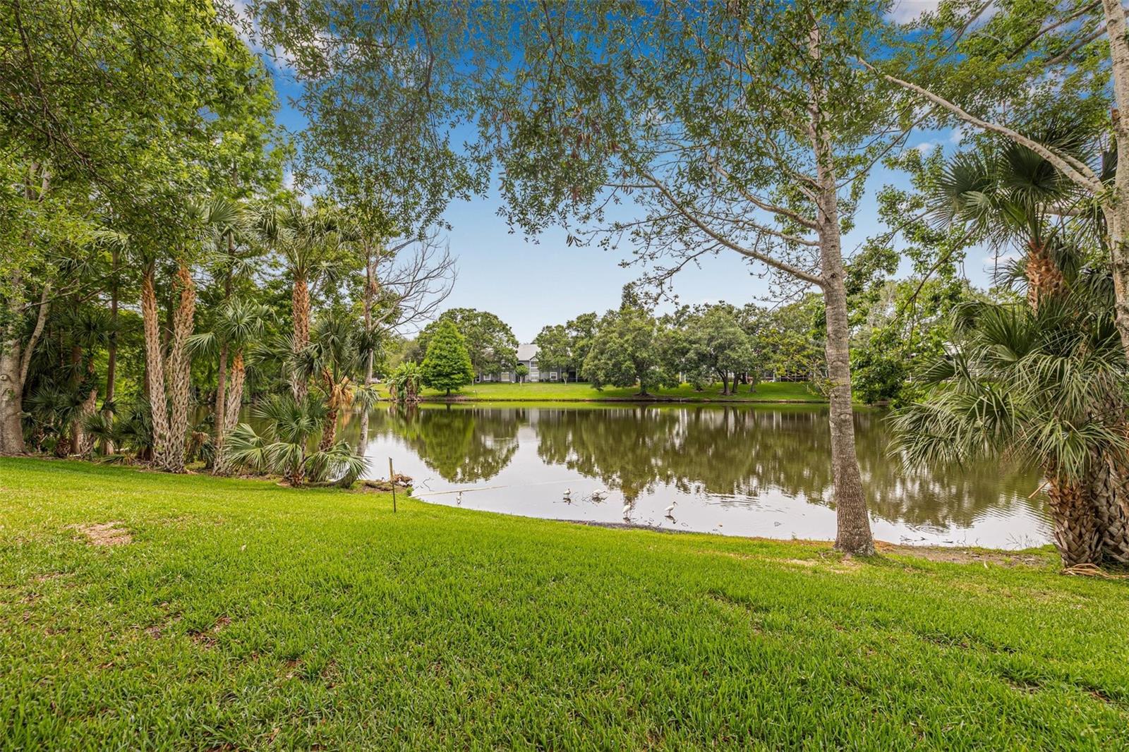 Image 22 of 24 For 11816 Raintree Lake Lane B