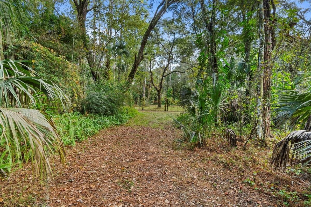 Listing photo id 25 for 15012 301 Highway