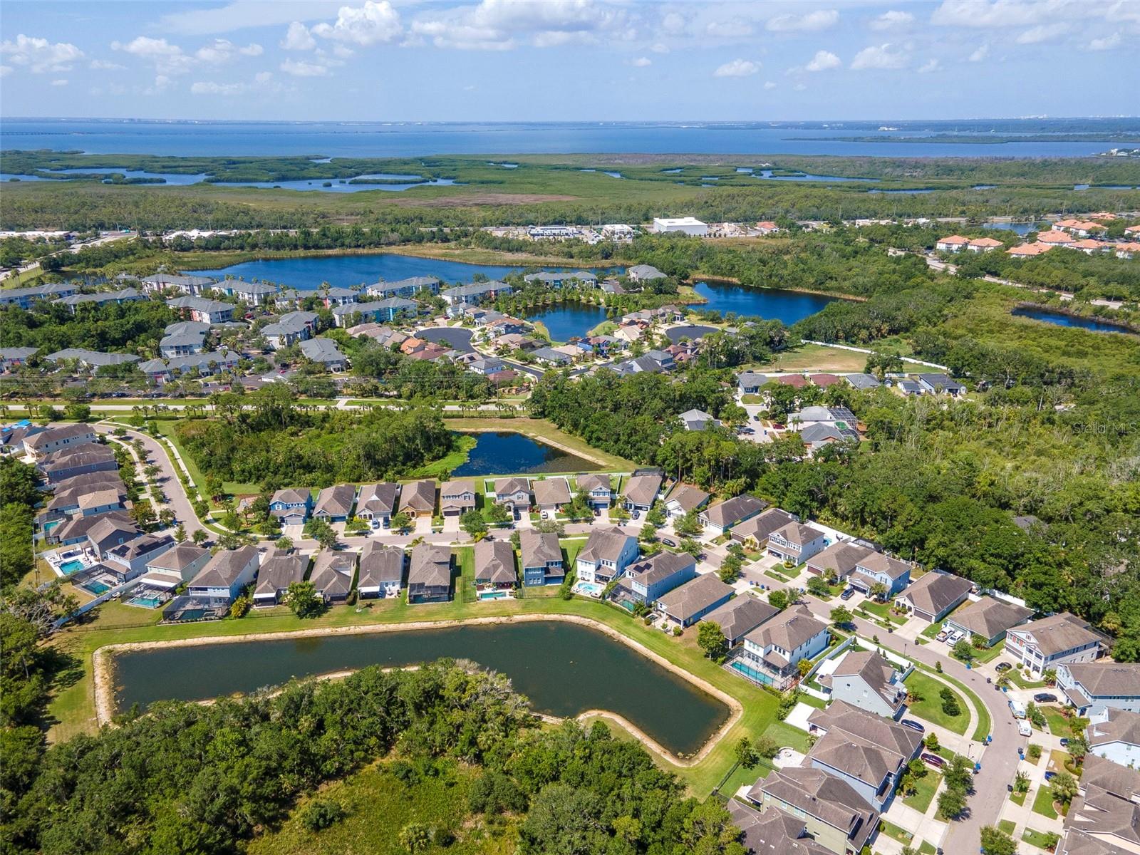 Listing photo id 35 for 11510 Quiet Forest Drive