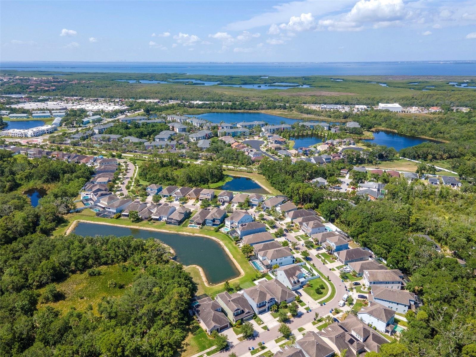 Listing photo id 38 for 11510 Quiet Forest Drive