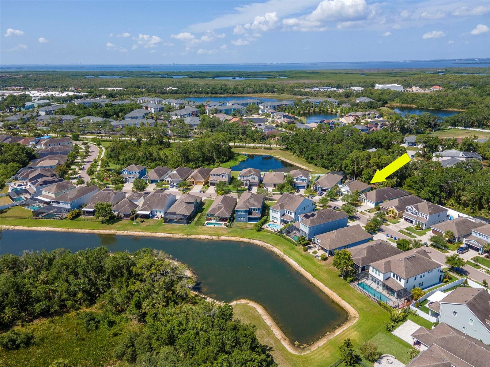Listing photo id 39 for 11510 Quiet Forest Drive