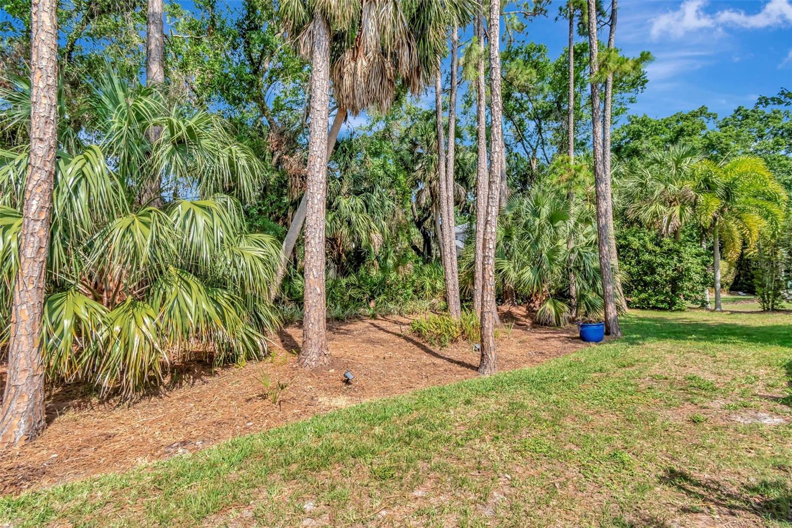 Listing photo id 46 for 11510 Quiet Forest Drive