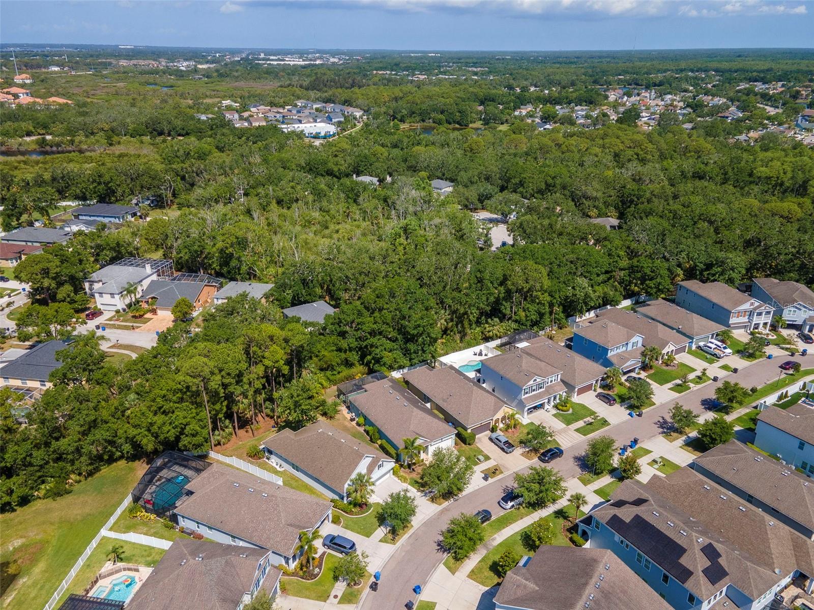 Listing photo id 57 for 11510 Quiet Forest Drive