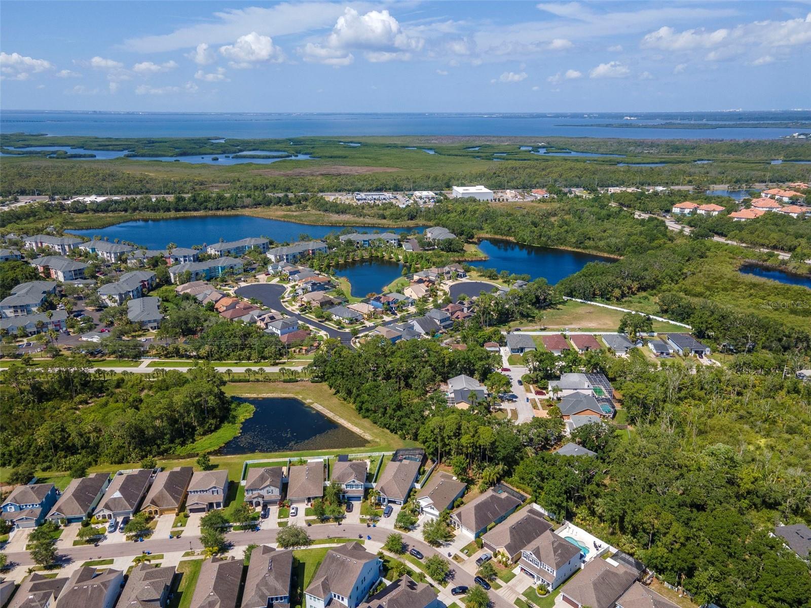 Listing photo id 58 for 11510 Quiet Forest Drive