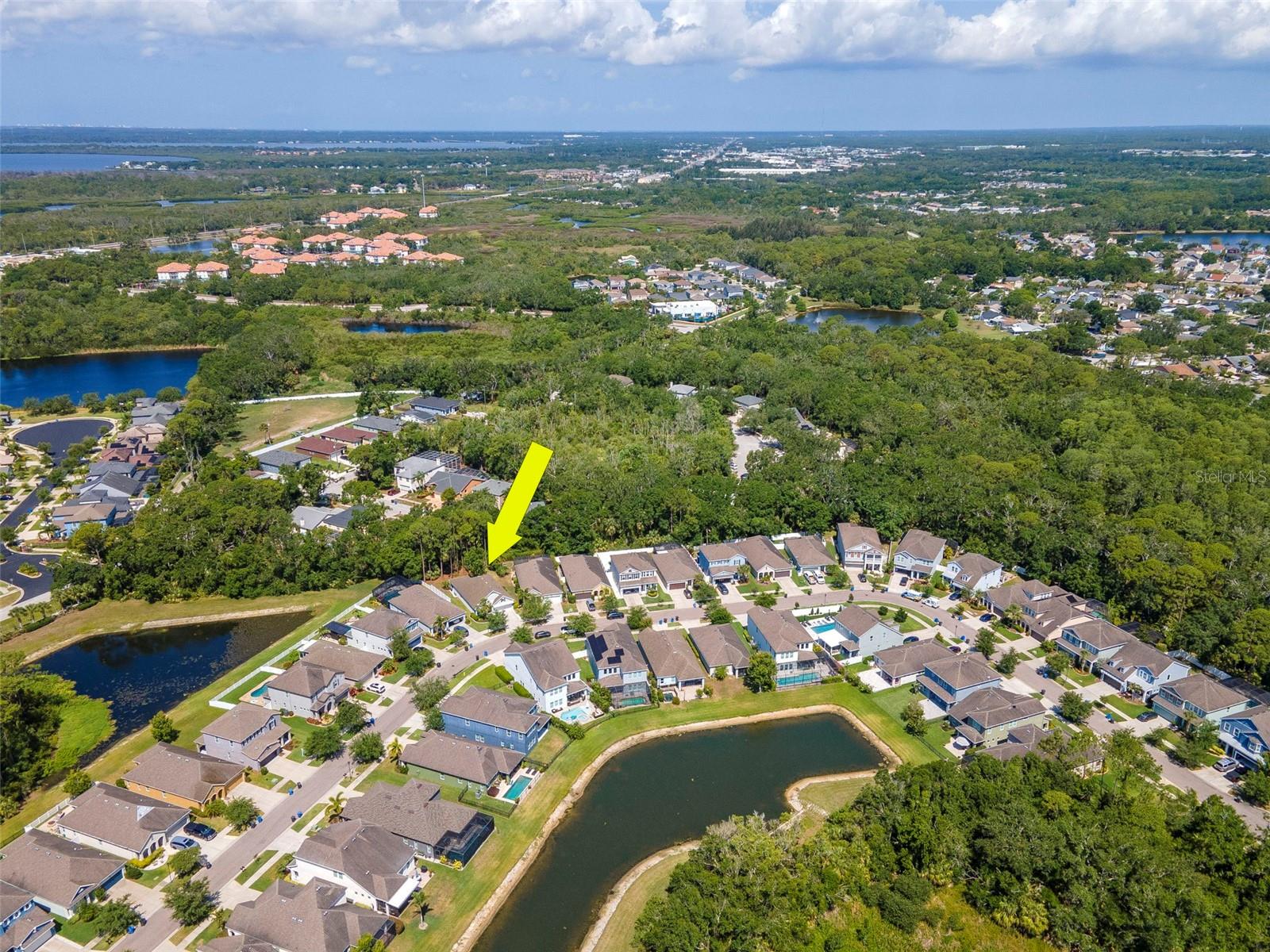 Listing photo id 66 for 11510 Quiet Forest Drive
