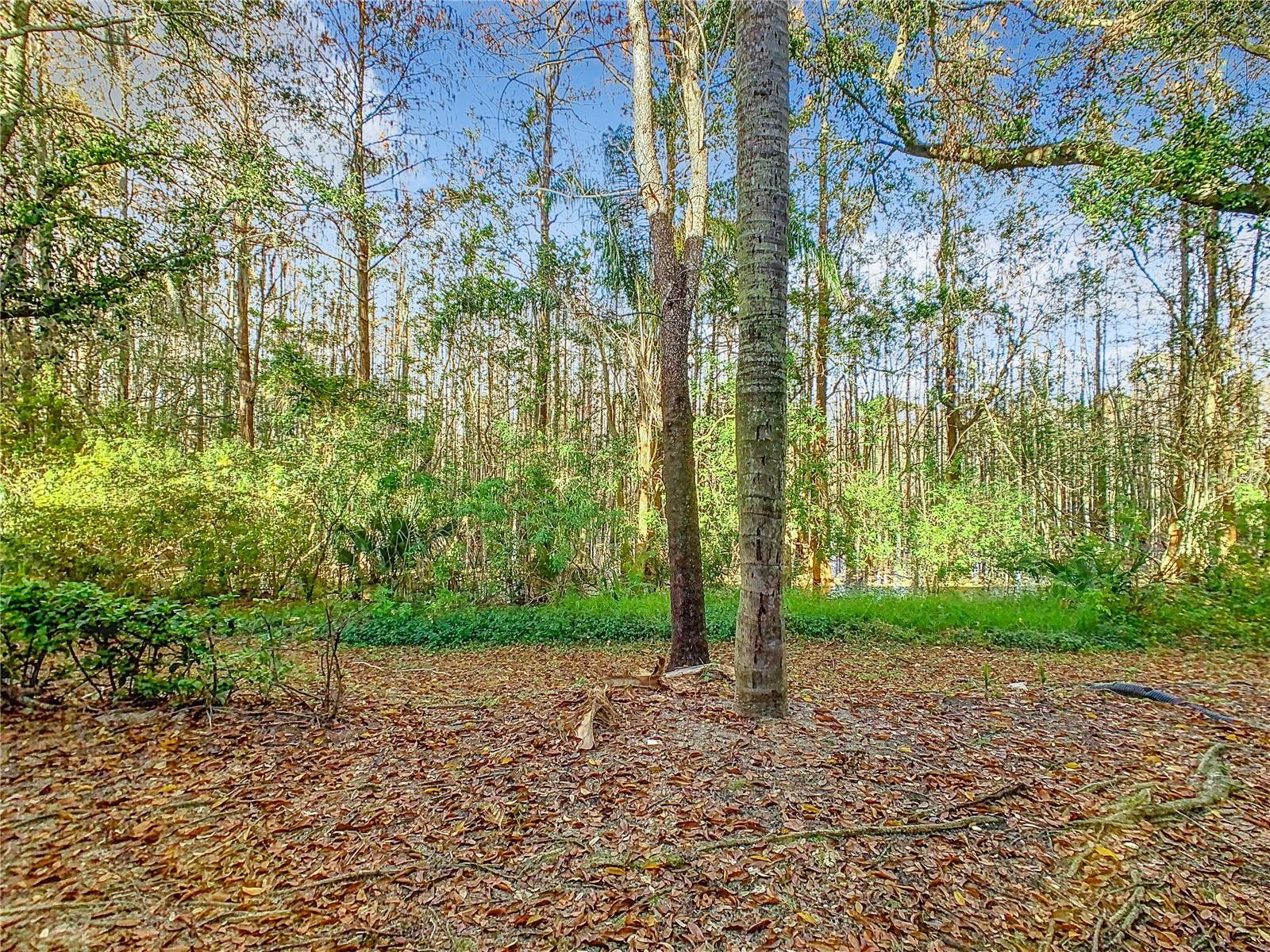 Image 33 of 41 For Address Not Provided