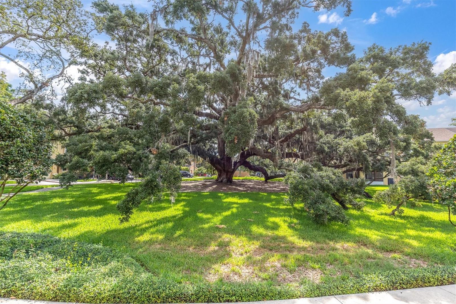Image 23 of 28 For 11615 Mango Ridge Boulevard 39