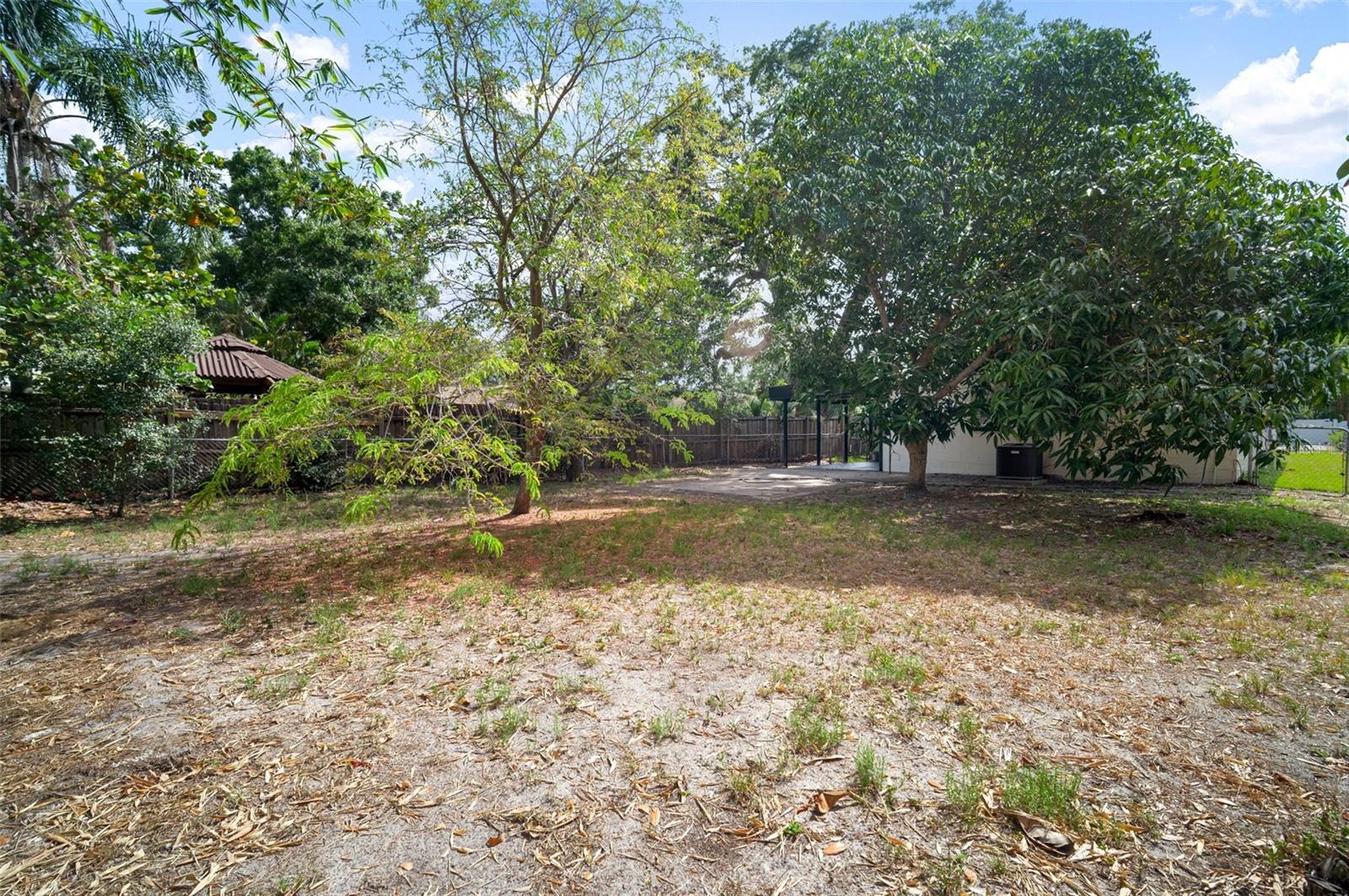 Listing photo id 35 for 5405 Sellas Street