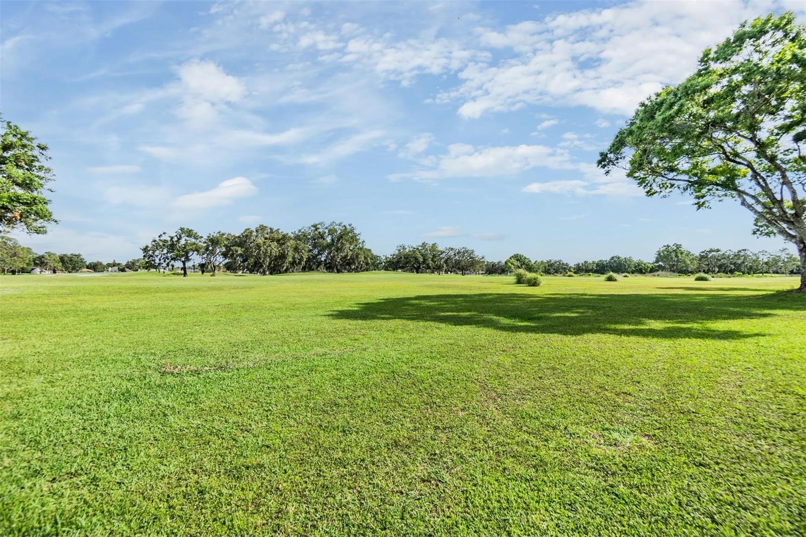 Listing photo id 43 for 2216 Eagle Bluff Drive