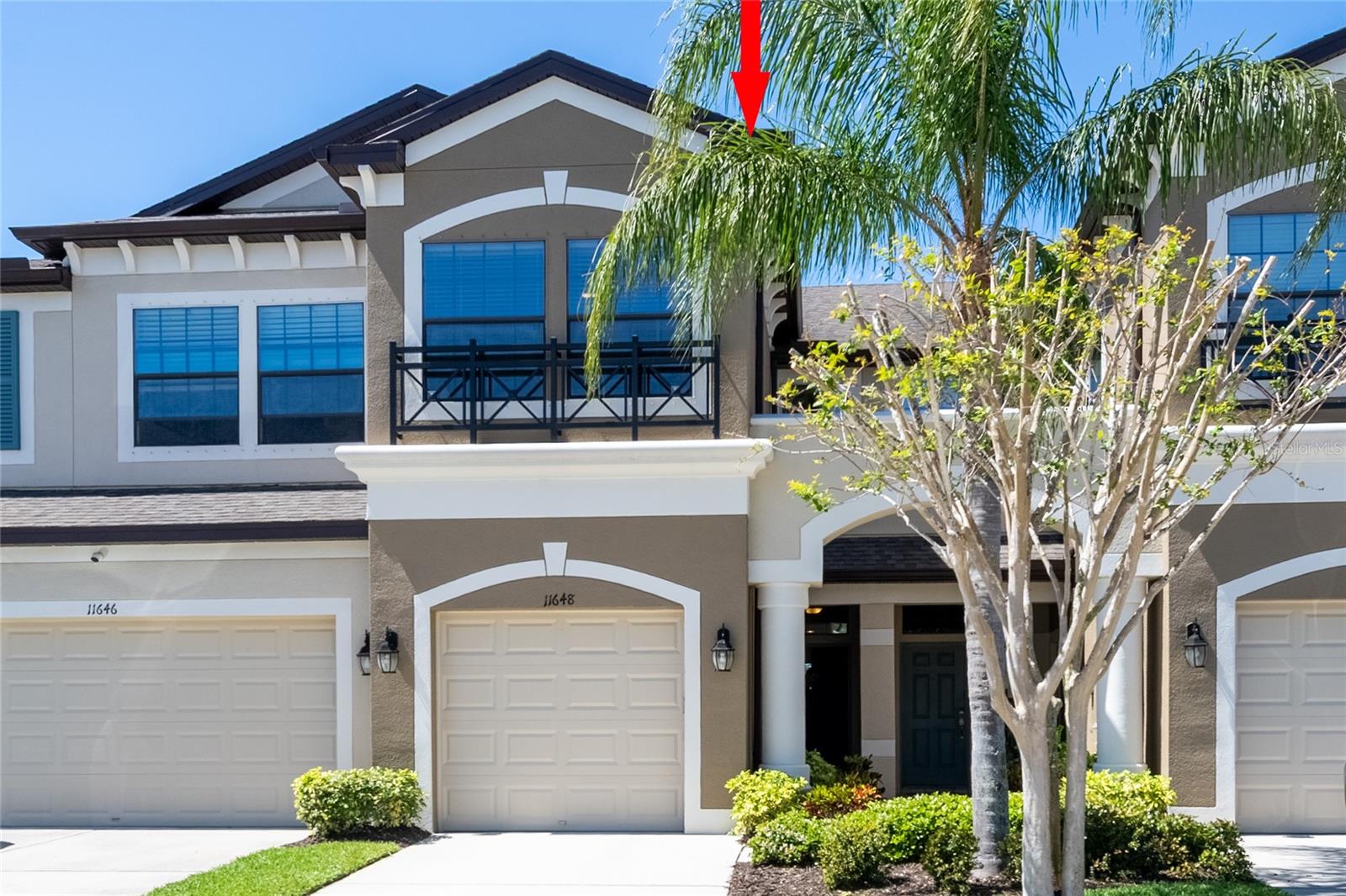Details for 11648 Crowned Sparrow Lane, TAMPA, FL 33626
