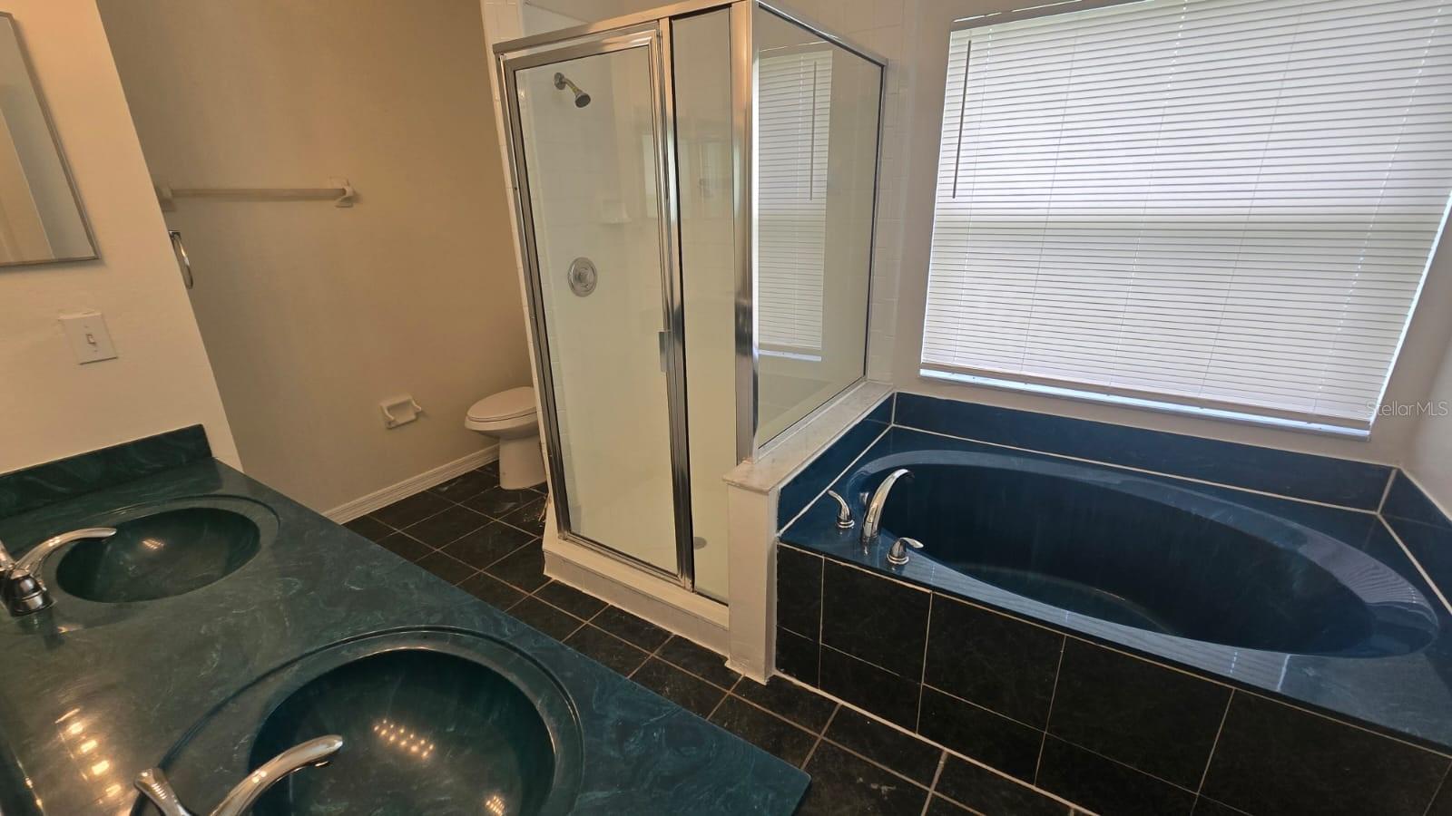 Image 7 of 11 For 1416 Silverthorn Drive