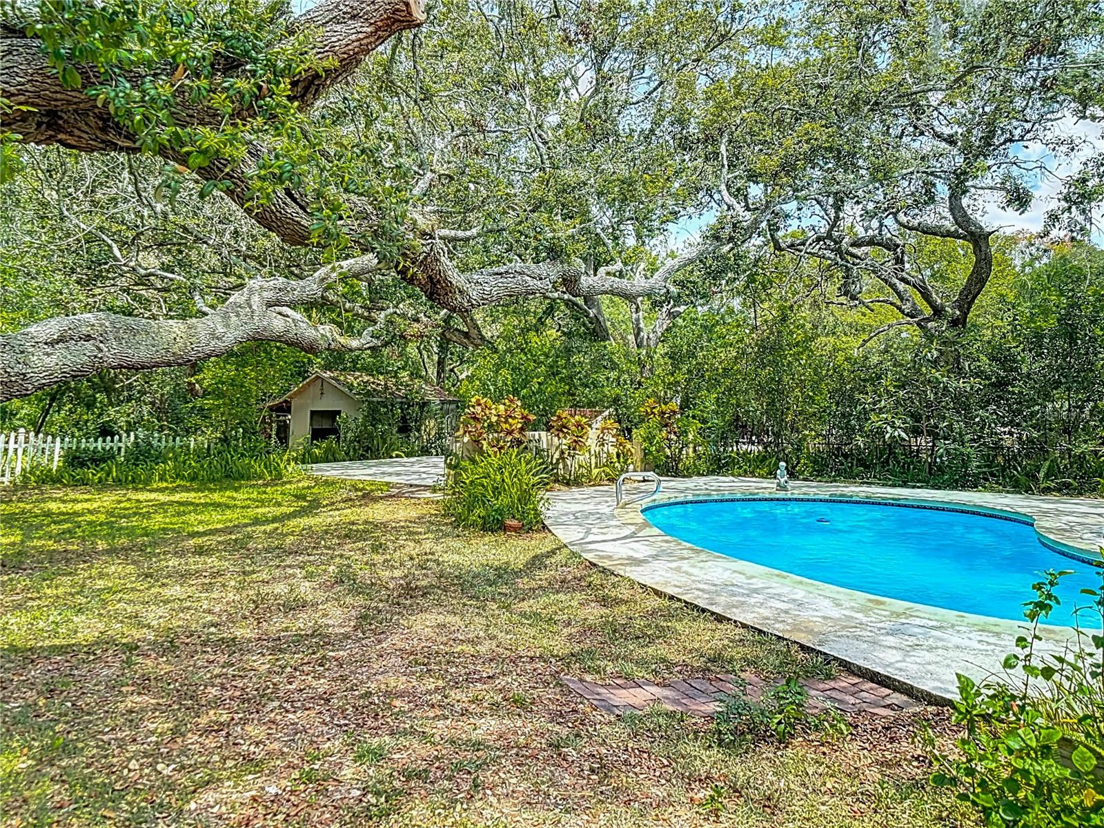Listing photo id 44 for 10930 Marjory Avenue
