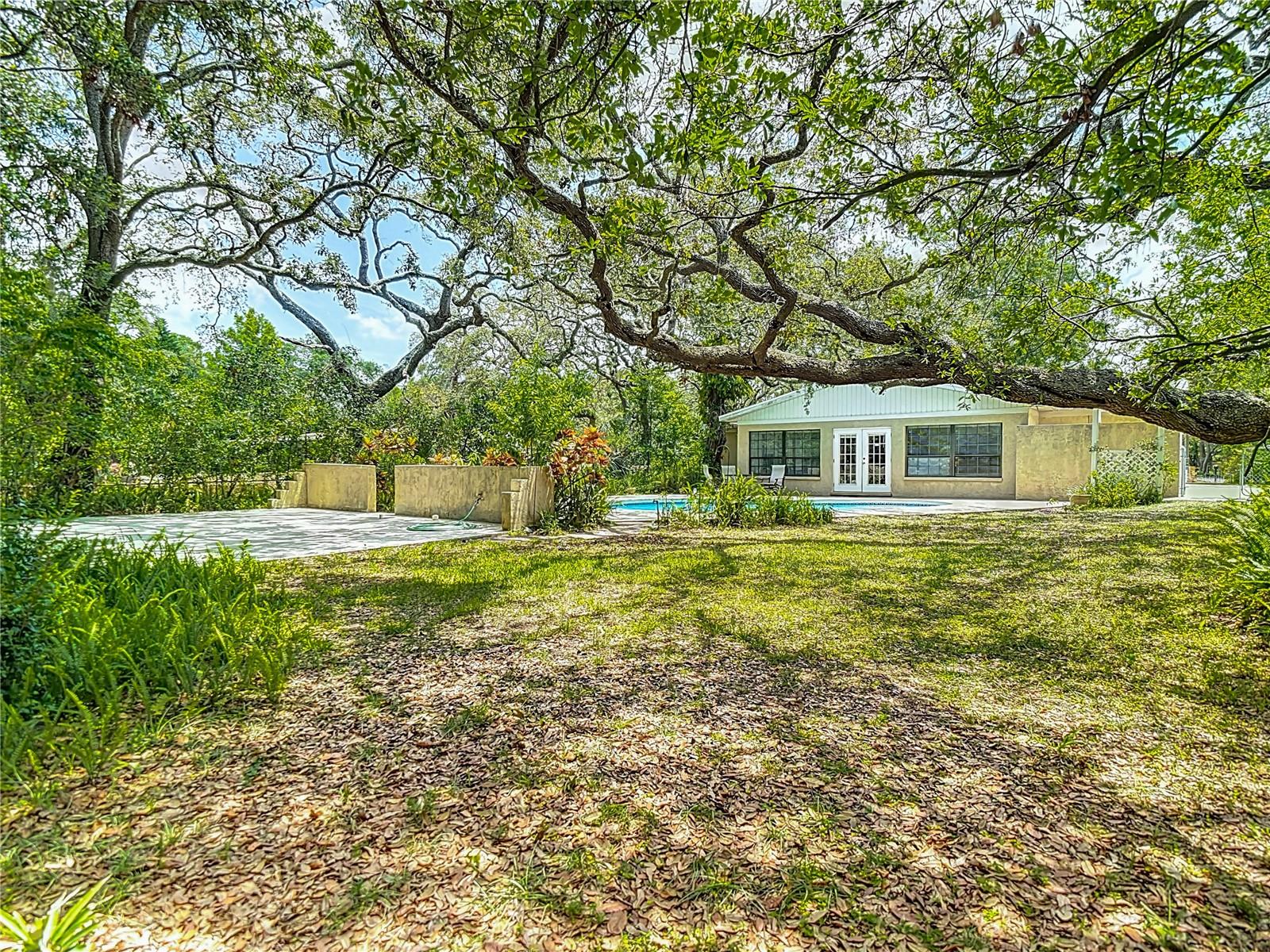 Listing photo id 47 for 10930 Marjory Avenue