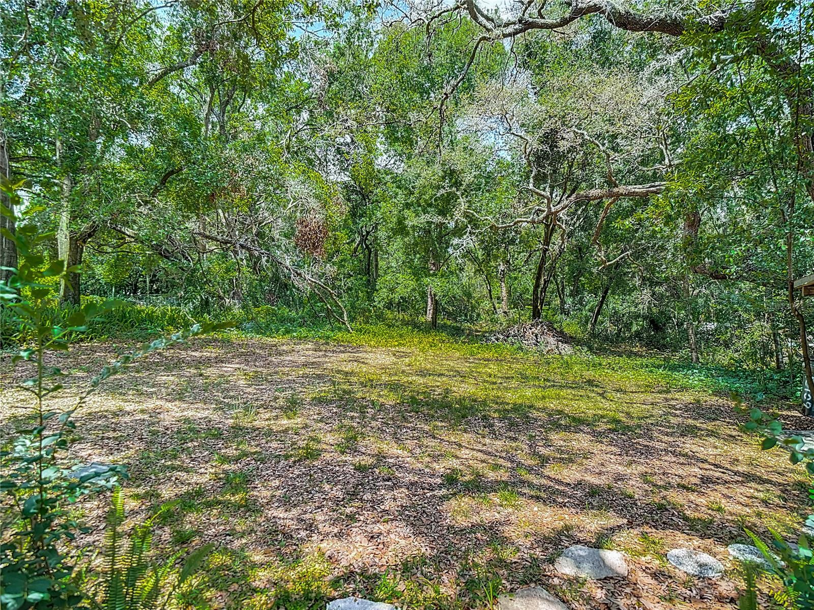 Listing photo id 49 for 10930 Marjory Avenue