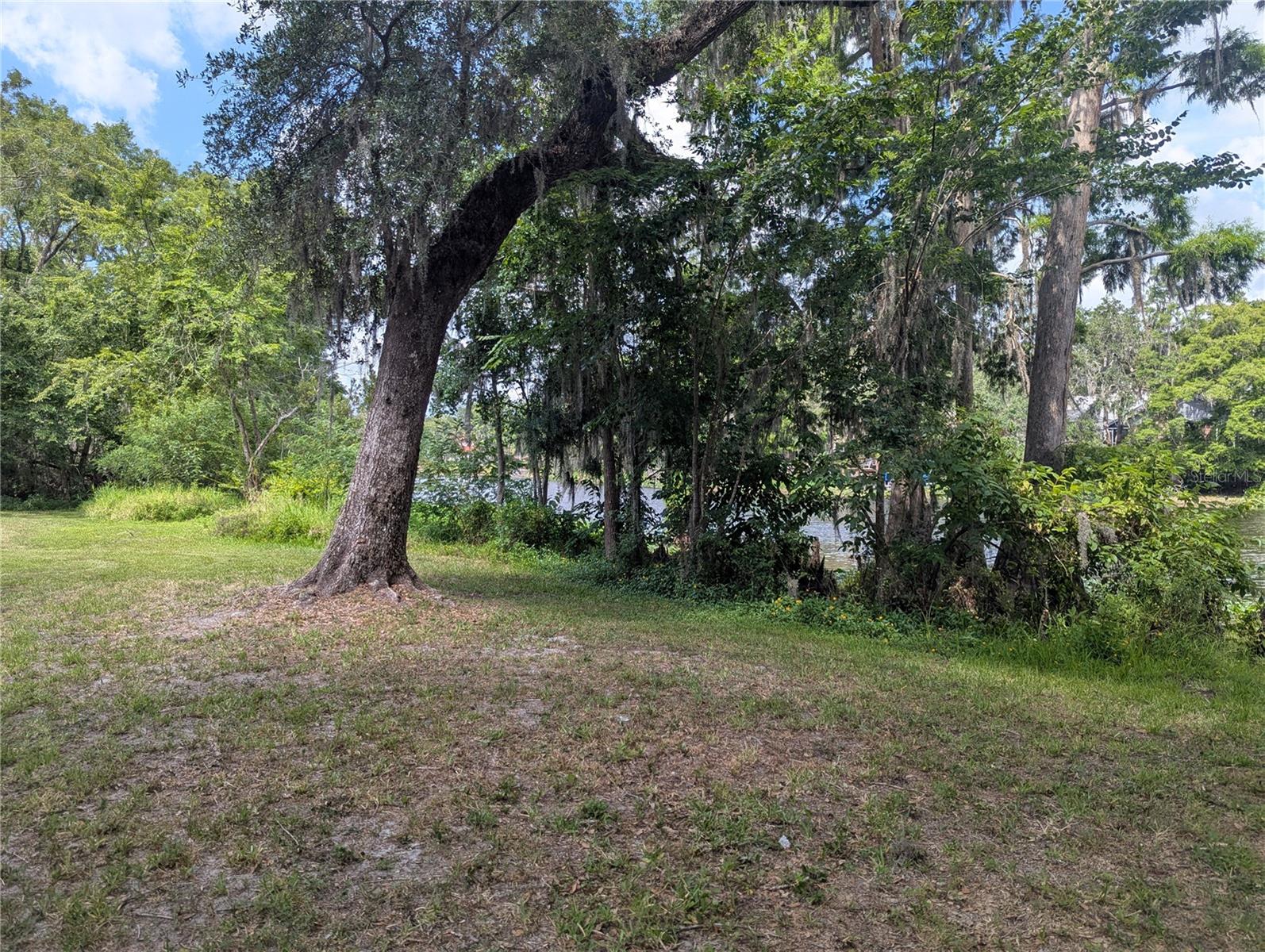 Listing photo id 11 for 11415 Wayne Way