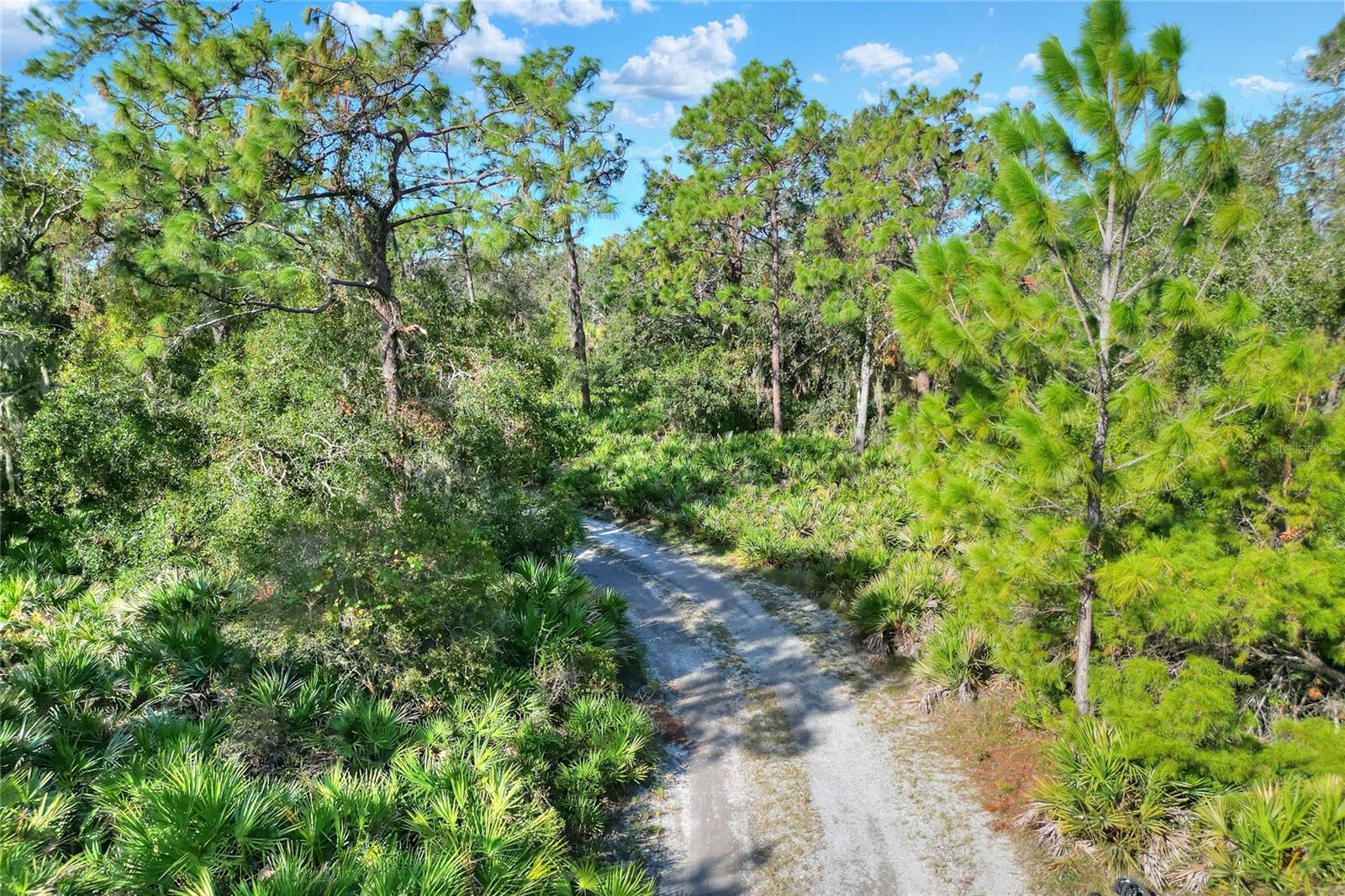 Listing photo id 3 for 12730 Bullfrog Creek Road