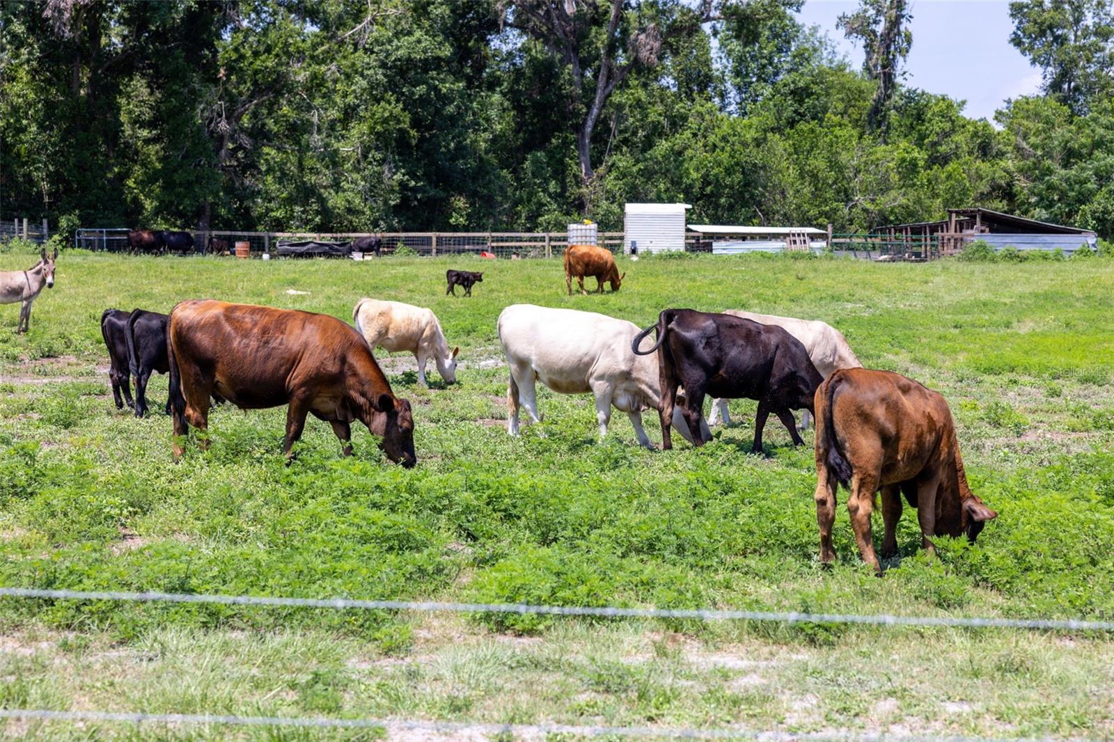 Details for 21455 Us Hwy 98, DADE CITY, FL 33523