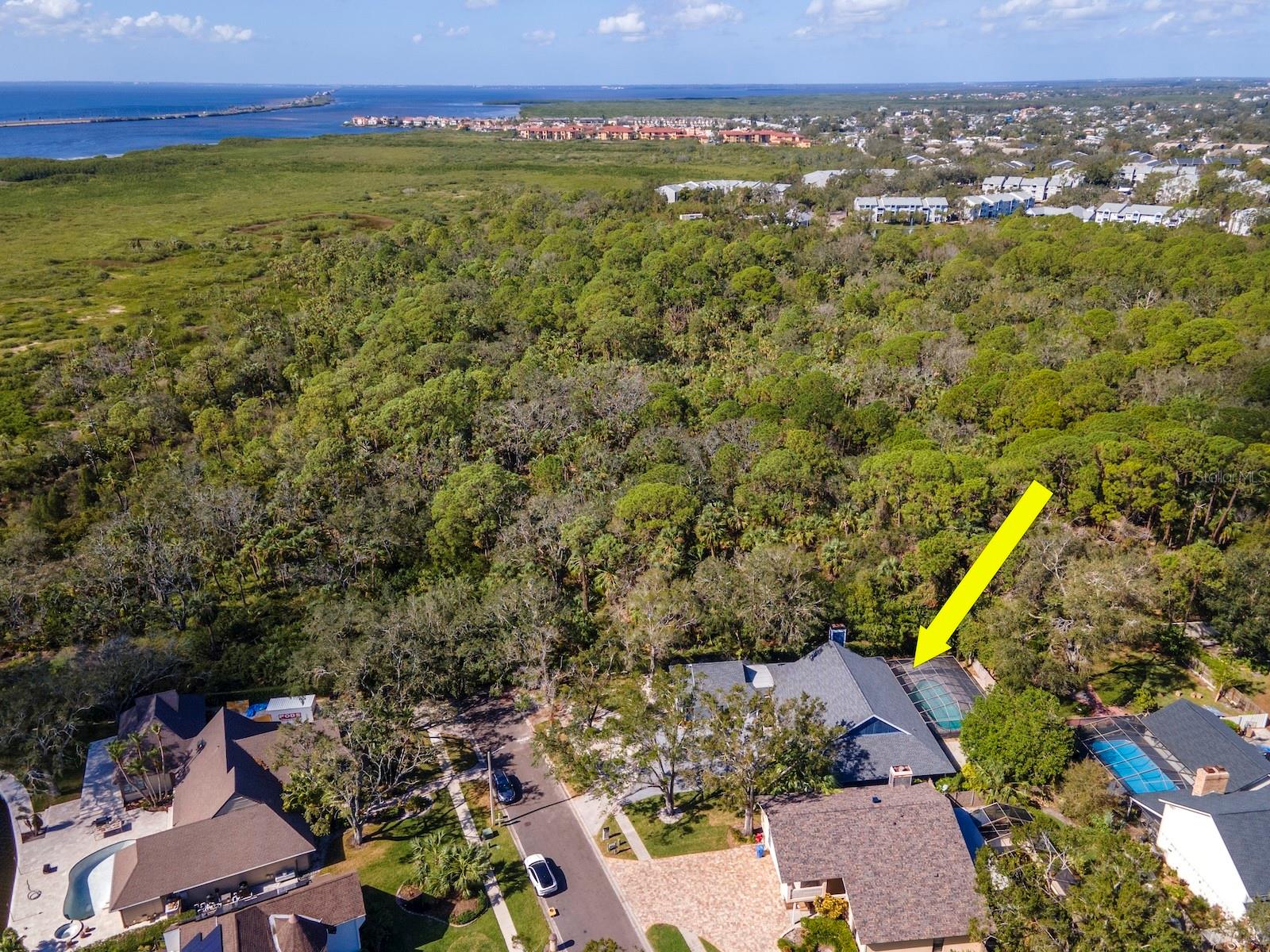 Image 61 of 75 For 4202 Deepwater Lane