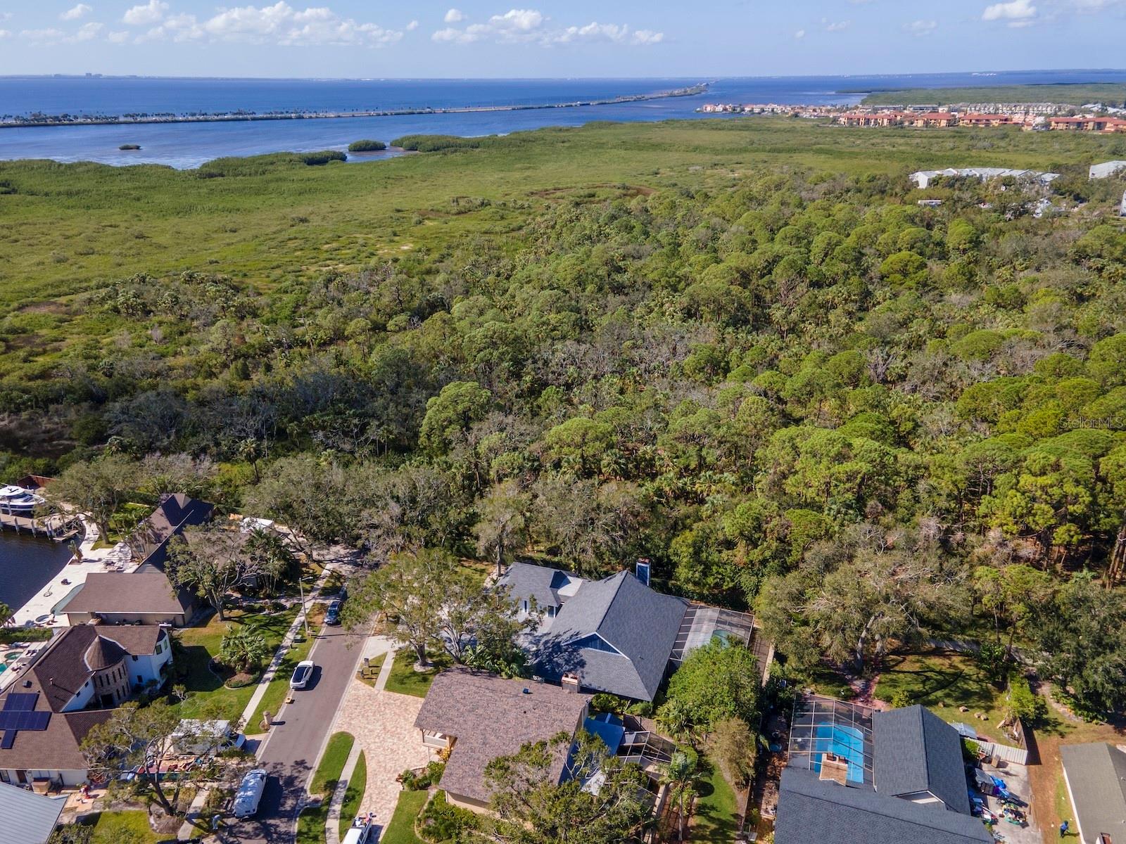 Image 65 of 75 For 4202 Deepwater Lane