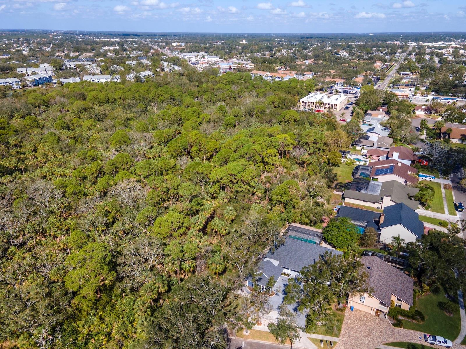 Image 67 of 75 For 4202 Deepwater Lane