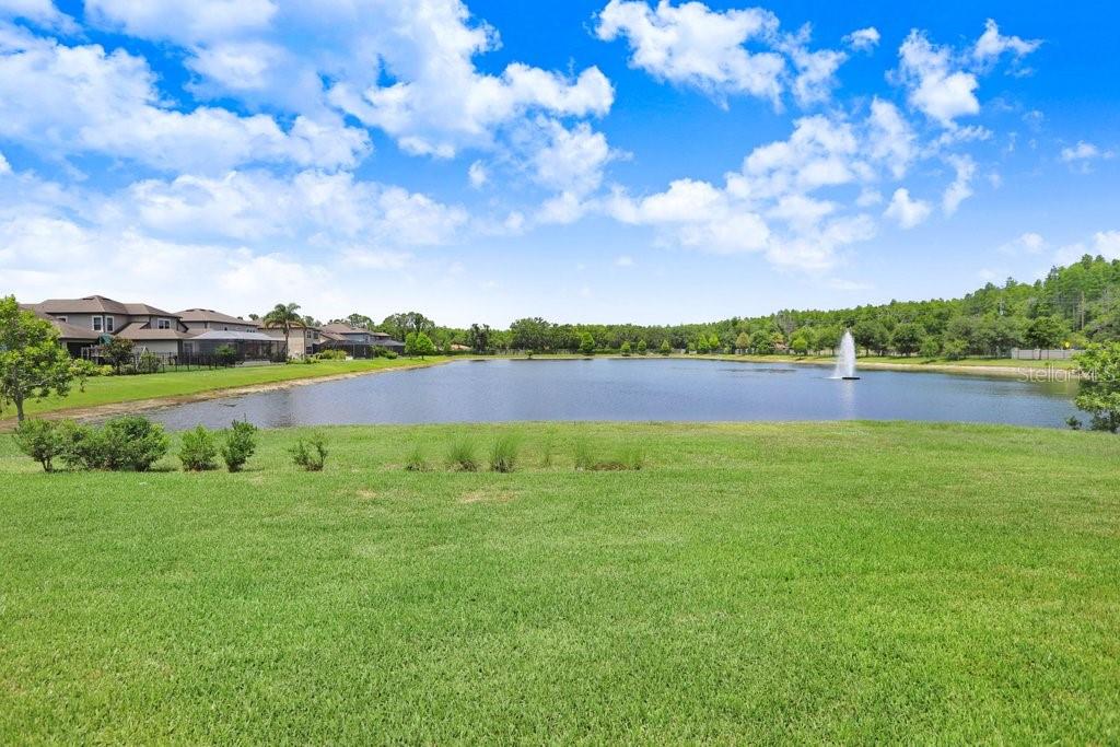 Image 50 of 59 For 18824 Birchwood Groves Drive