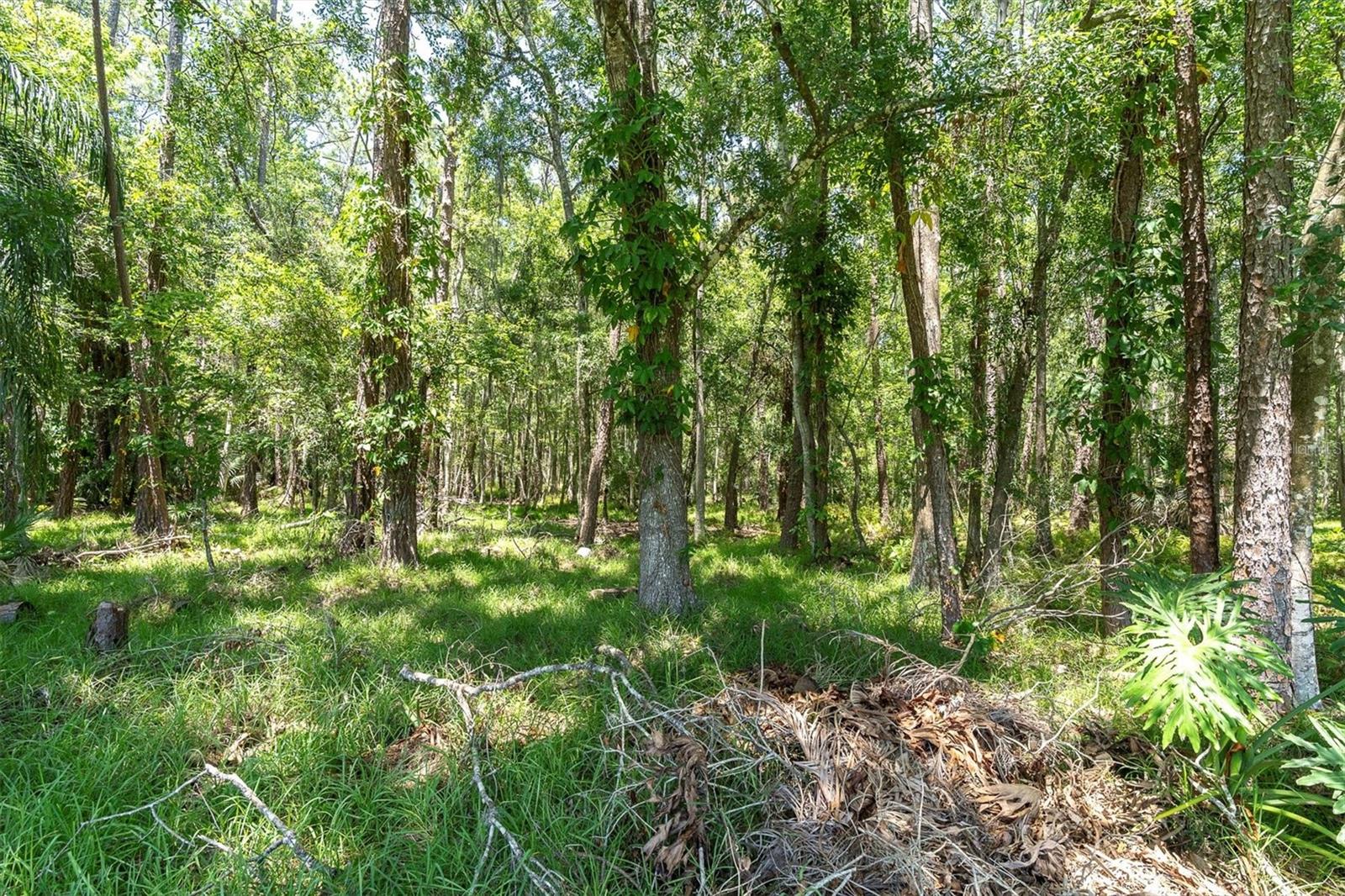Listing photo id 3 for 4049 Wellington Parkway