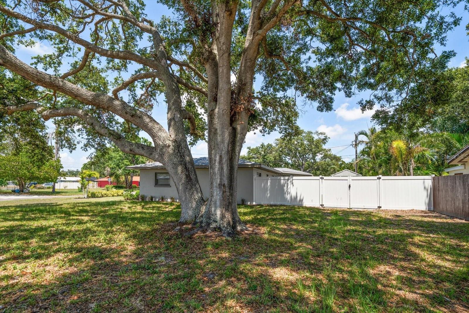 Image 56 of 58 For 13514 Oval Drive W