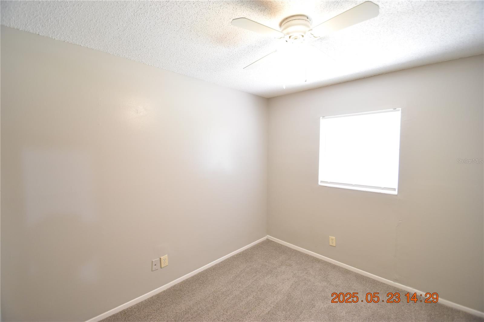 Image 28 of 43 For 4432 Tarpon Drive