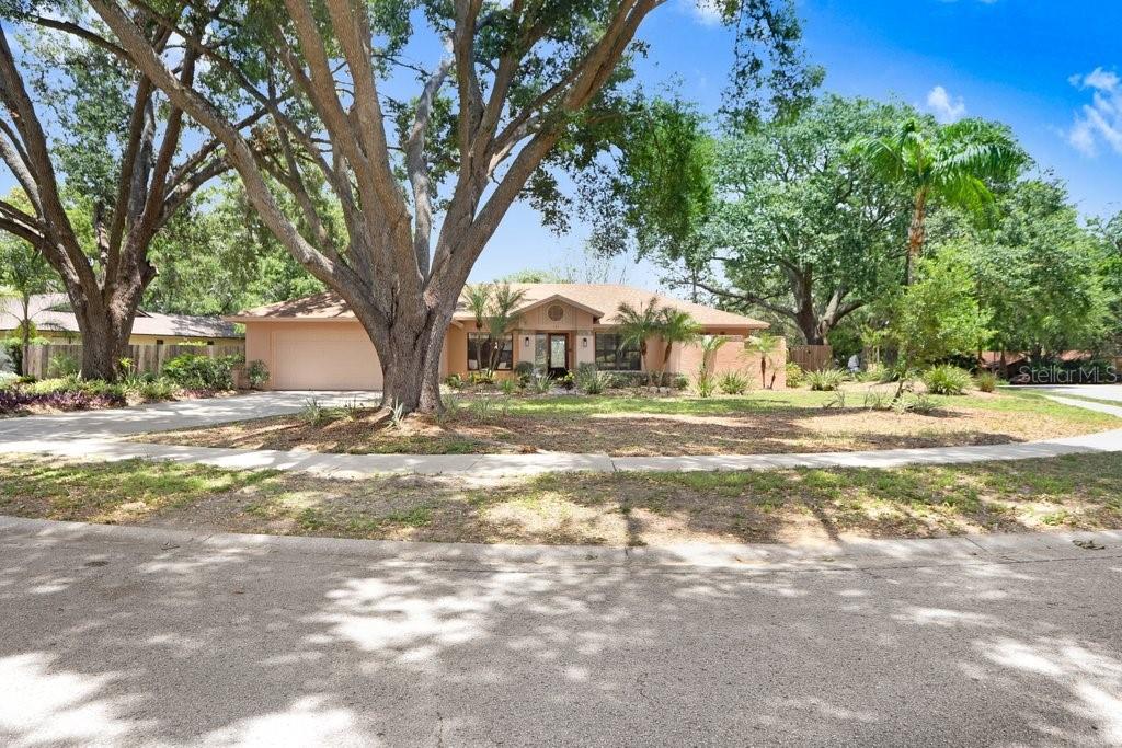 Listing photo id 42 for 107 Halton Circle
