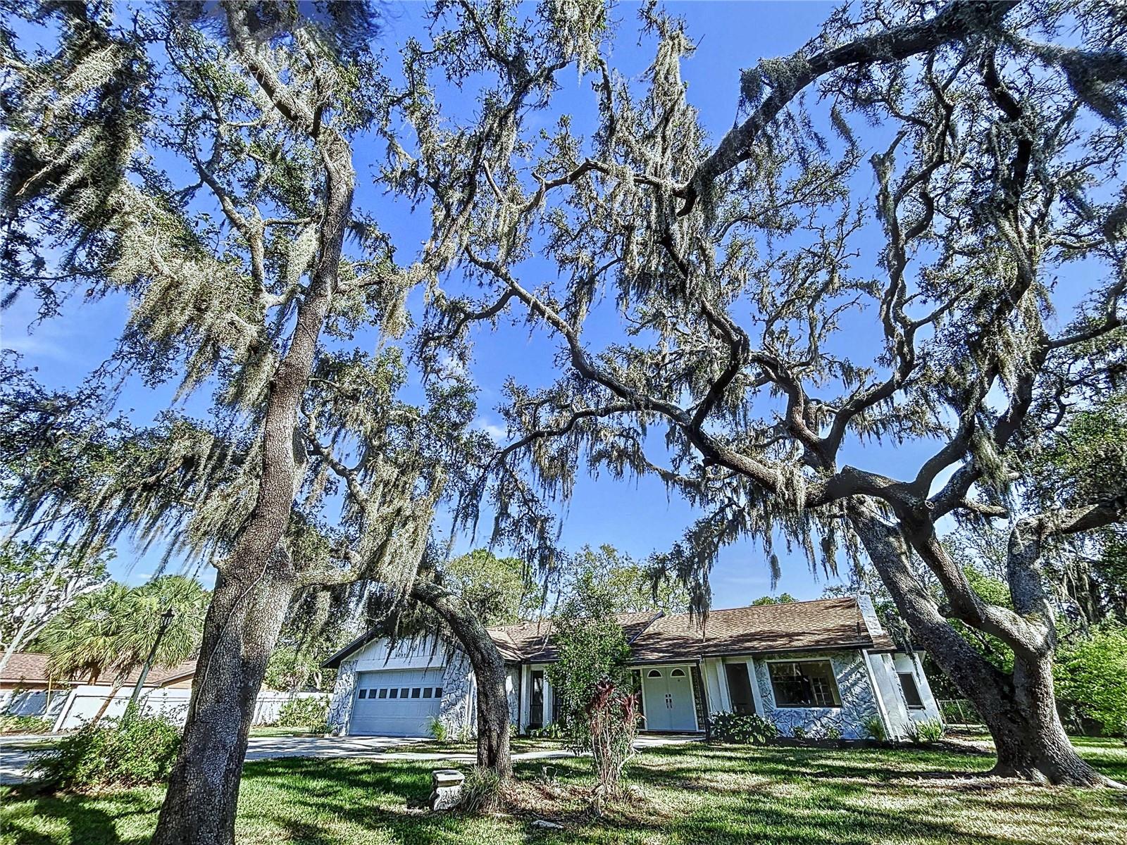 Listing photo id 48 for 6602 Winding Brook Drive