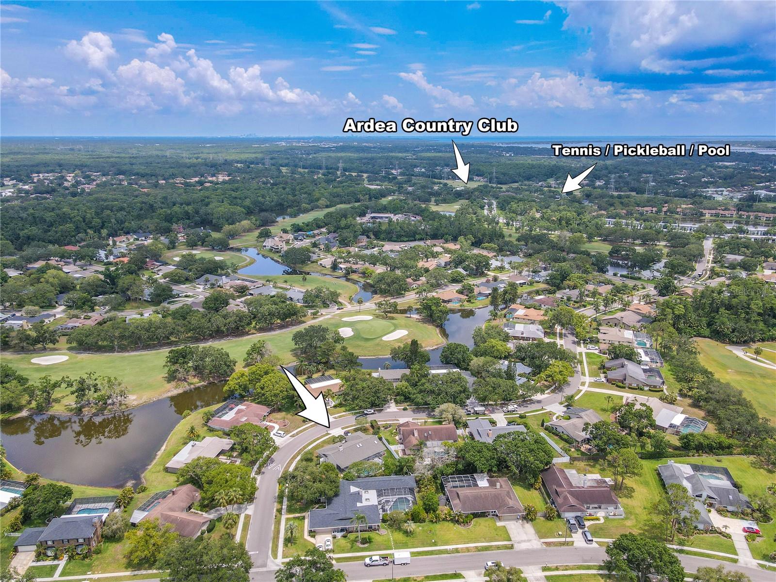 Listing photo id 50 for 465 Holly Hill Road