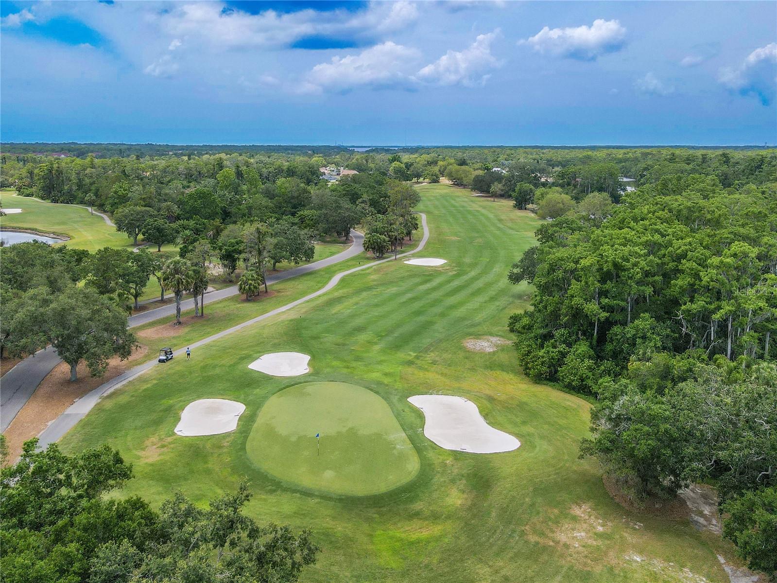 Listing photo id 55 for 465 Holly Hill Road
