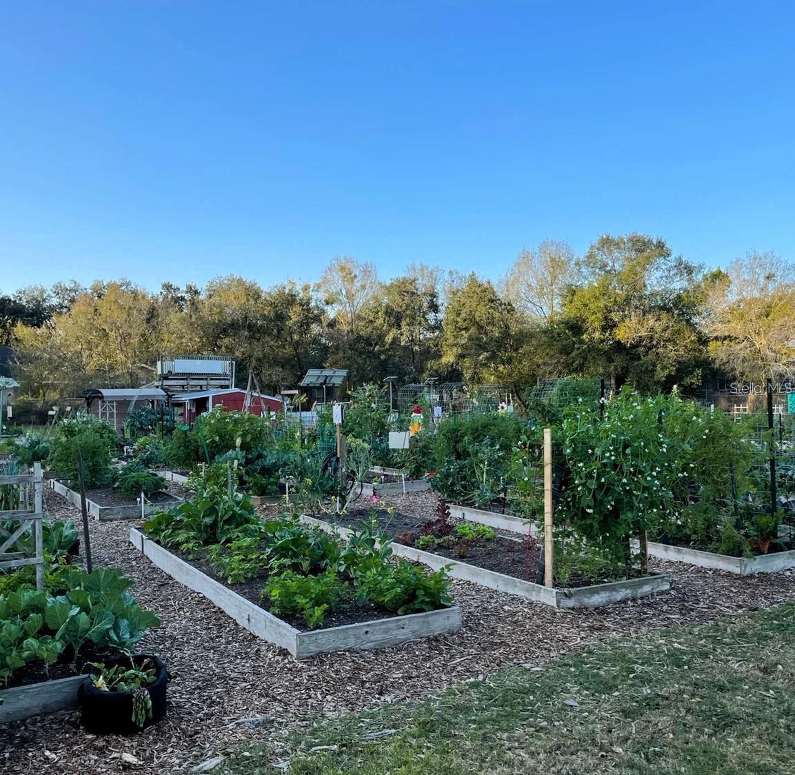 Image 57 of 61 For 14116 Trouville Drive
