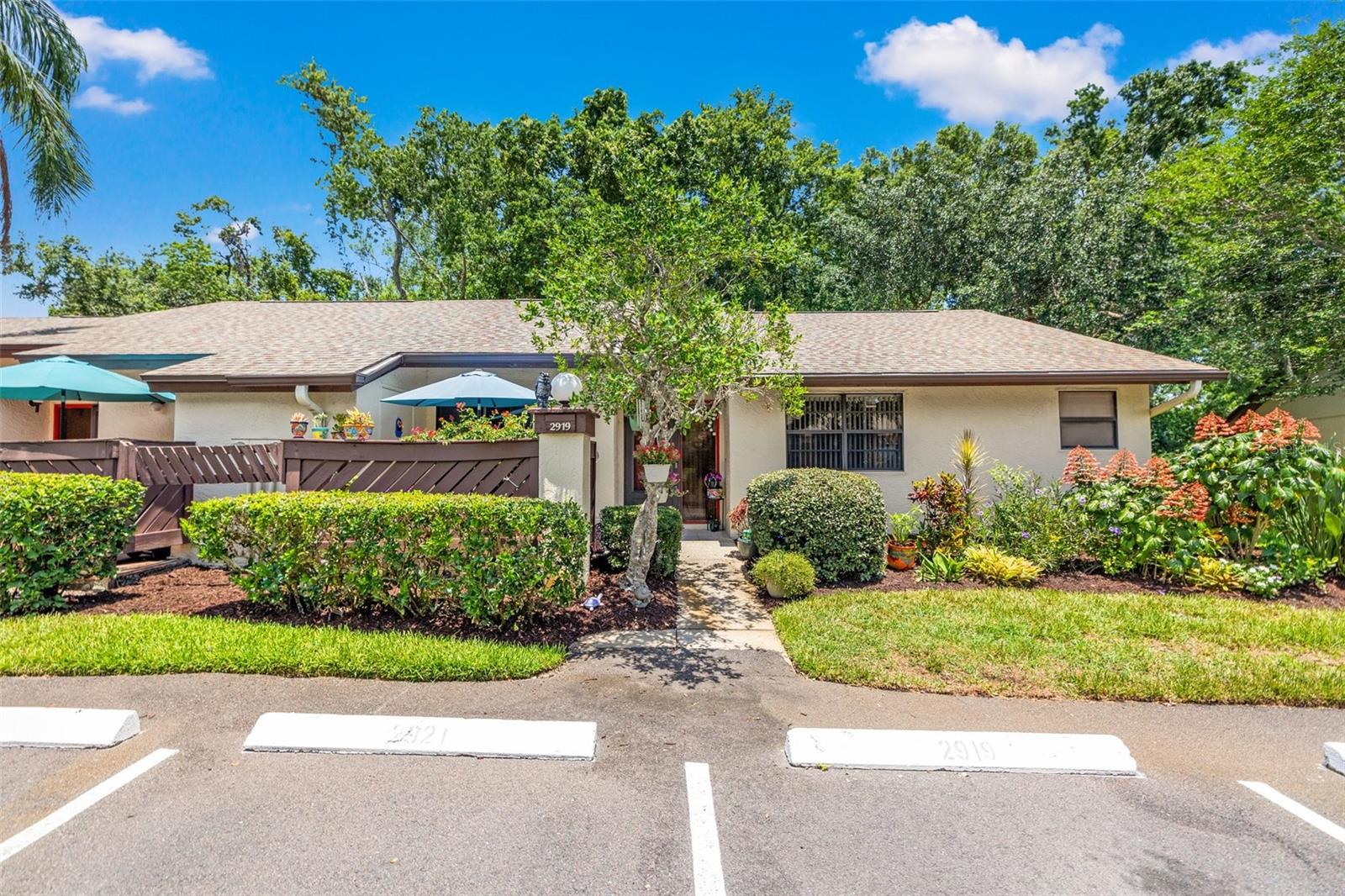Details for 2919 Fig Court, PALM HARBOR, FL 34684