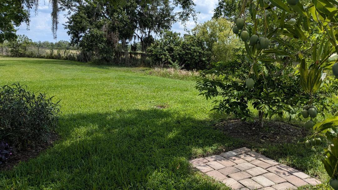 Image 50 of 50 For 1447 Emerald Hill Way