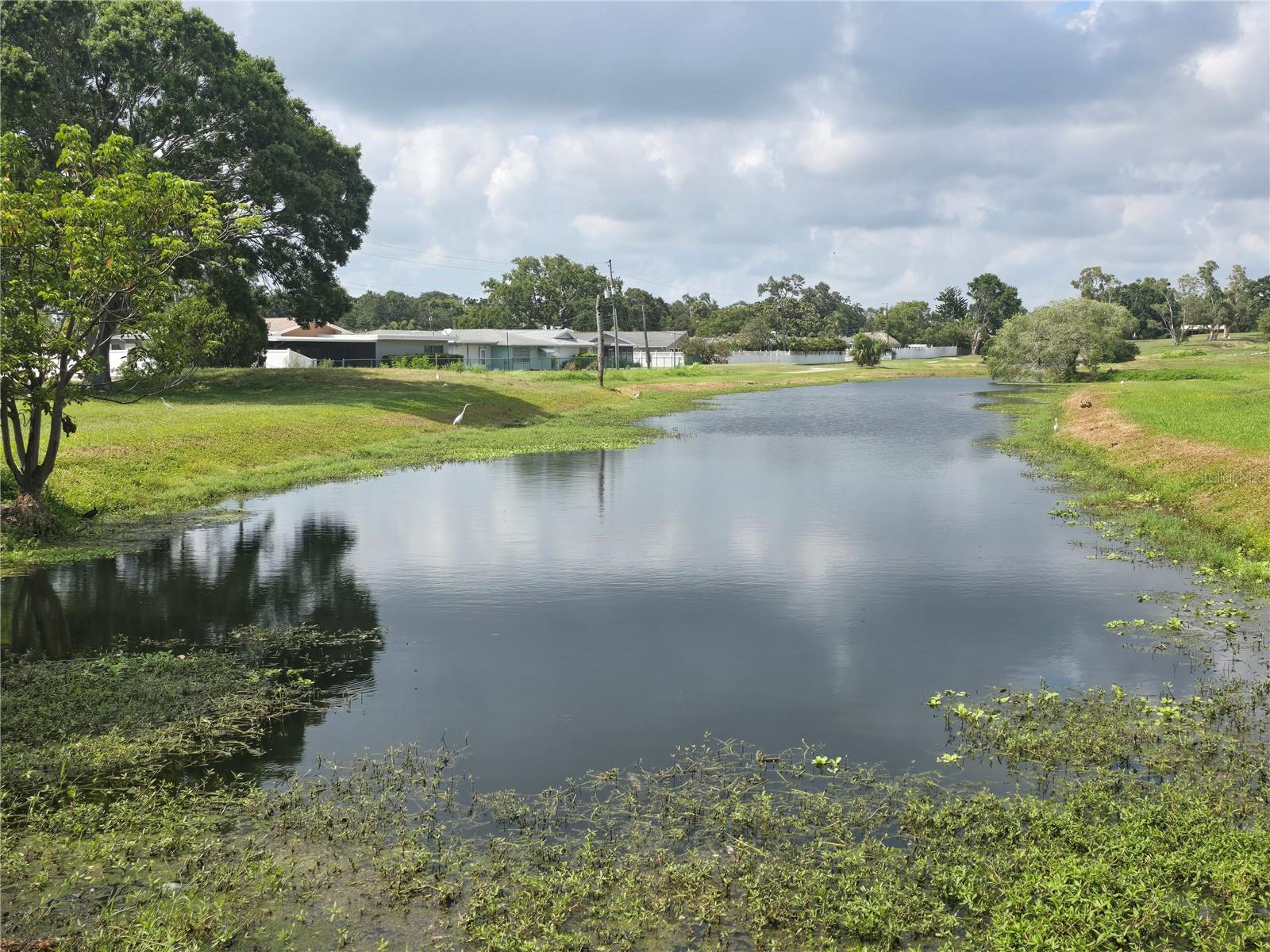 Listing photo id 46 for 9591 Commodore Drive