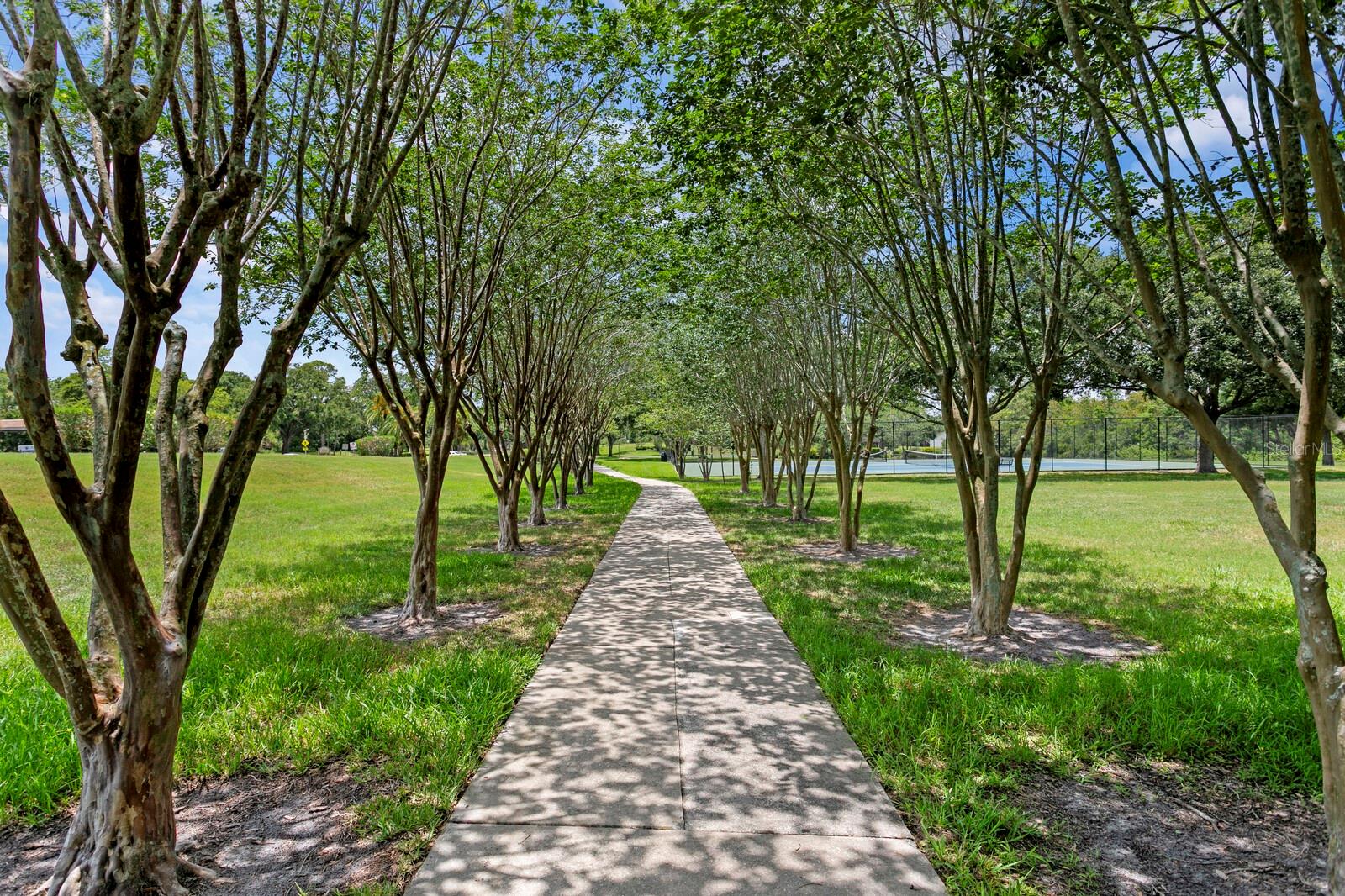 Image 57 of 58 For 13810 Lake Village Place