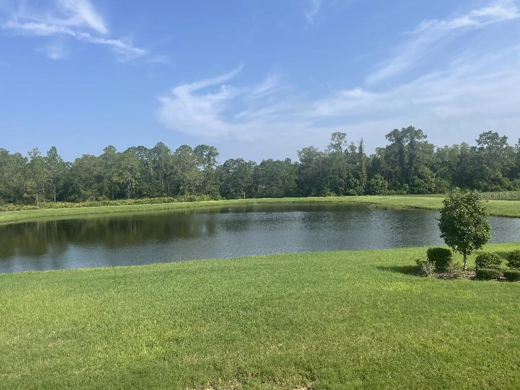 Listing photo id 24 for 4239 Woodland Retreat Boulevard