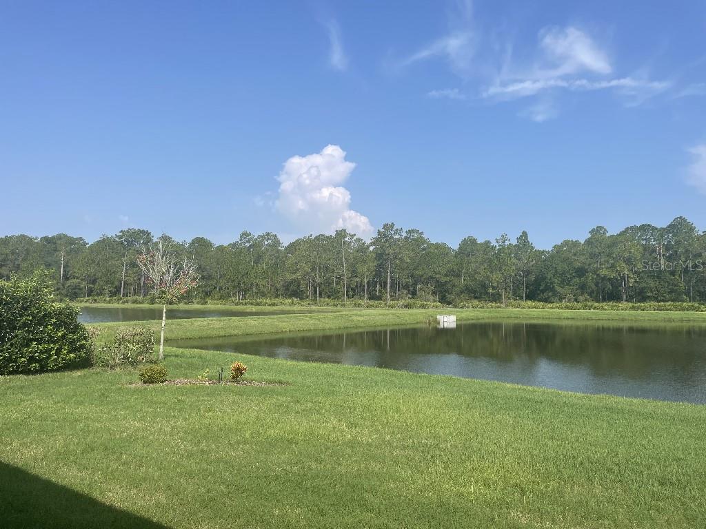 Listing photo id 25 for 4239 Woodland Retreat Boulevard