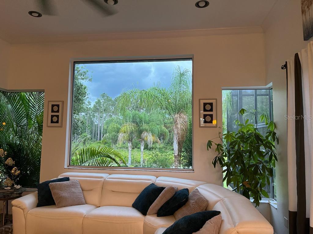 Image 6 of 36 For 10532 Cory Lake Drive