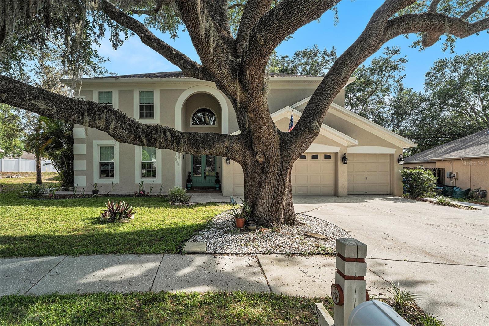 Details for 709 Grand Canyon Drive, VALRICO, FL 33594