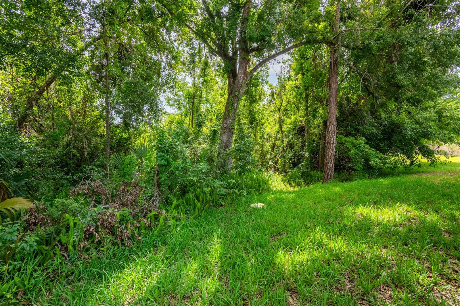 Listing photo id 45 for 6928 Cozumel Court