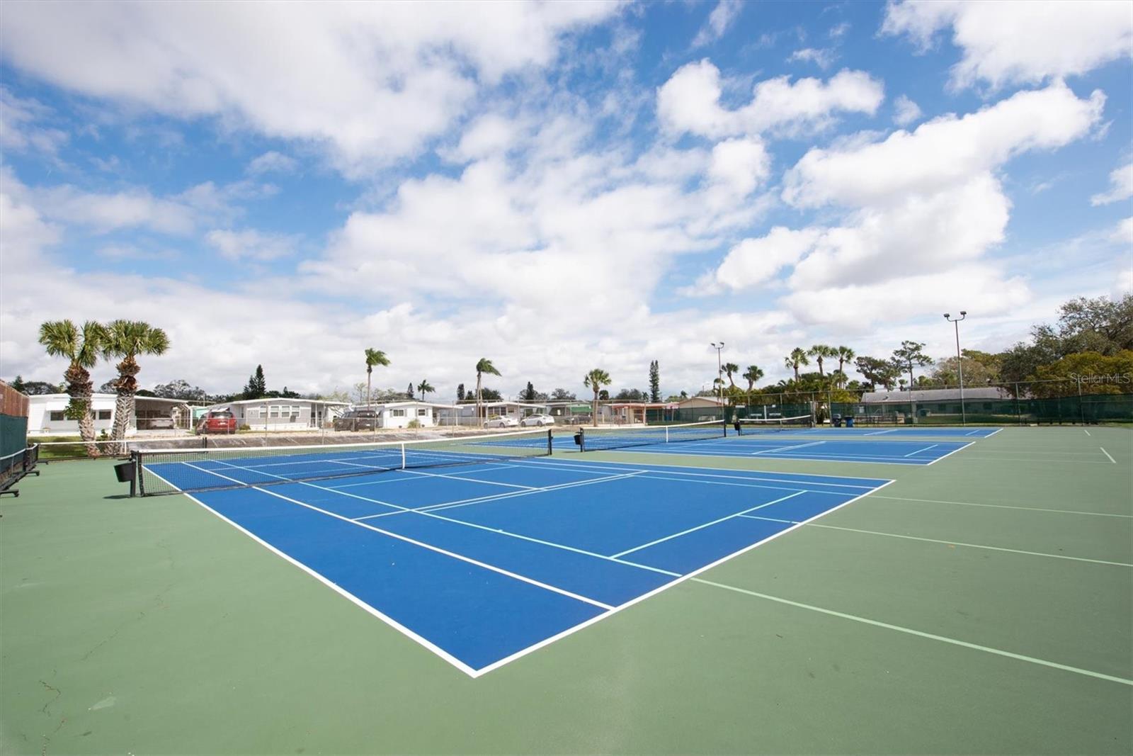 Listing photo id 32 for 11 Palm Forest Drive