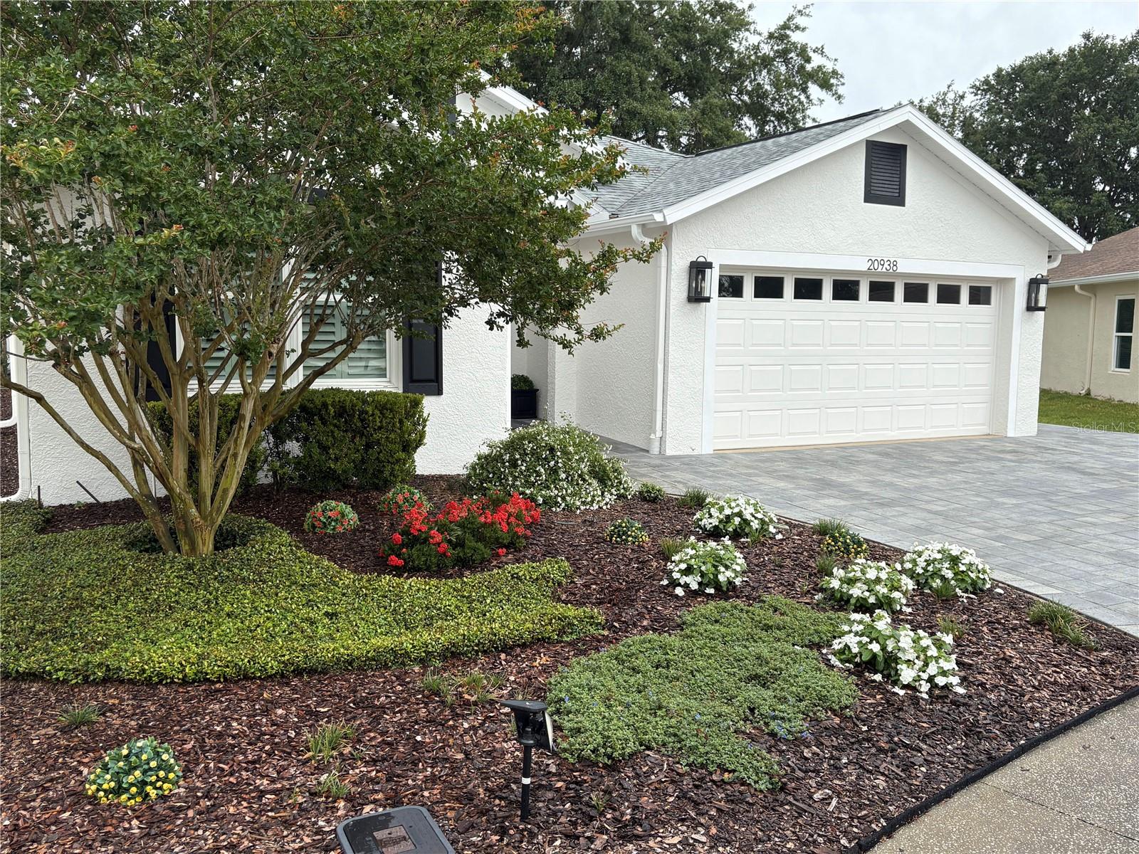 Details for 20938 Sunsweet Court, LAND O LAKES, FL 34637