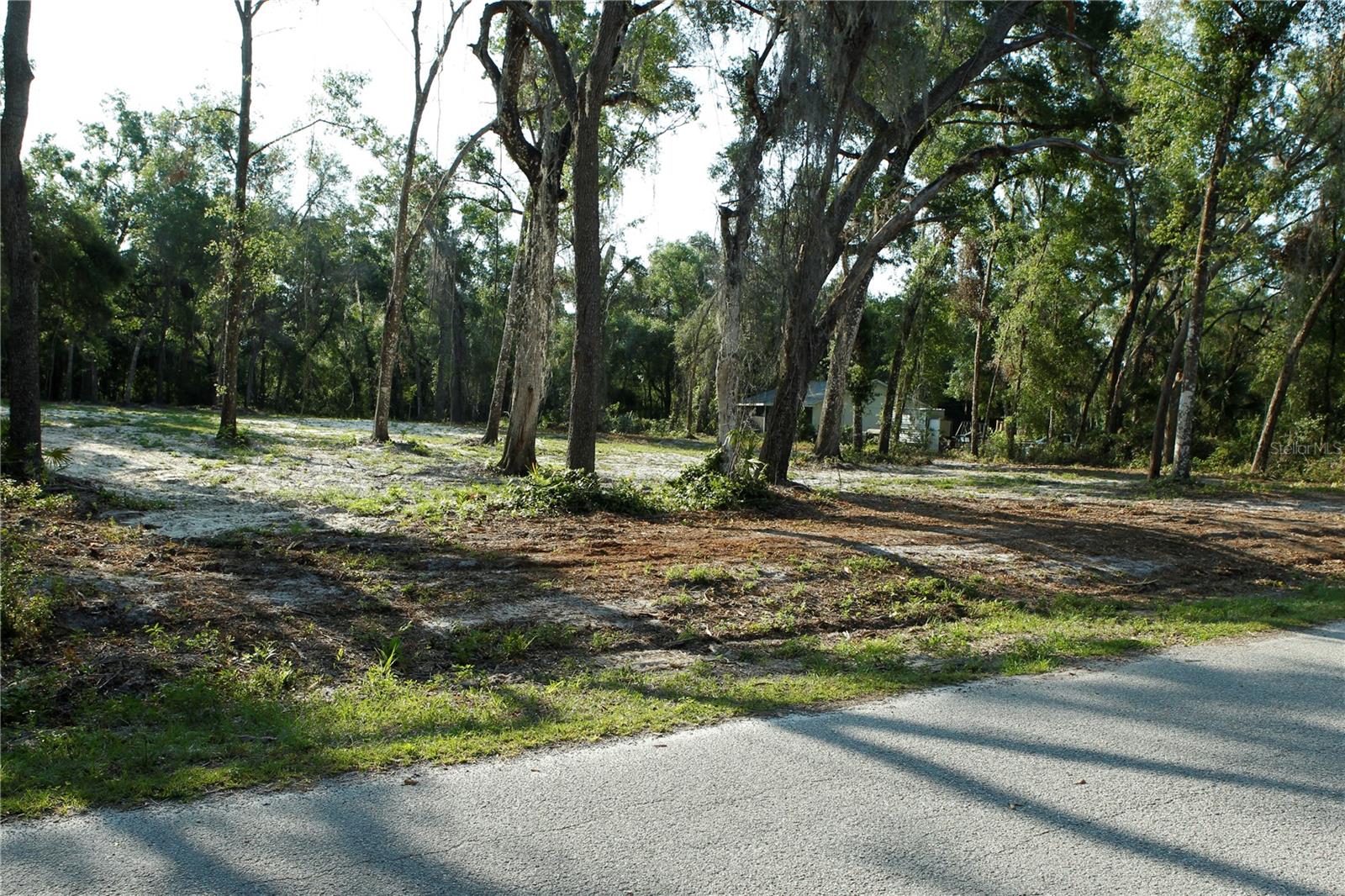 Details for 0 Juniper Avenue, WEBSTER, FL 33597