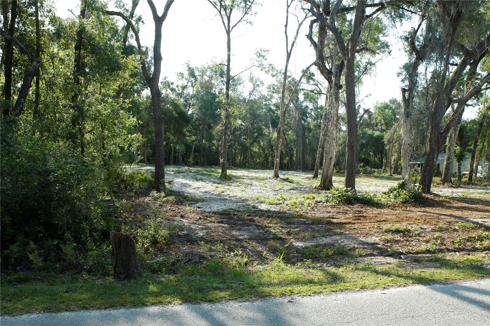 Image 11 of 13 For 0 Juniper Avenue