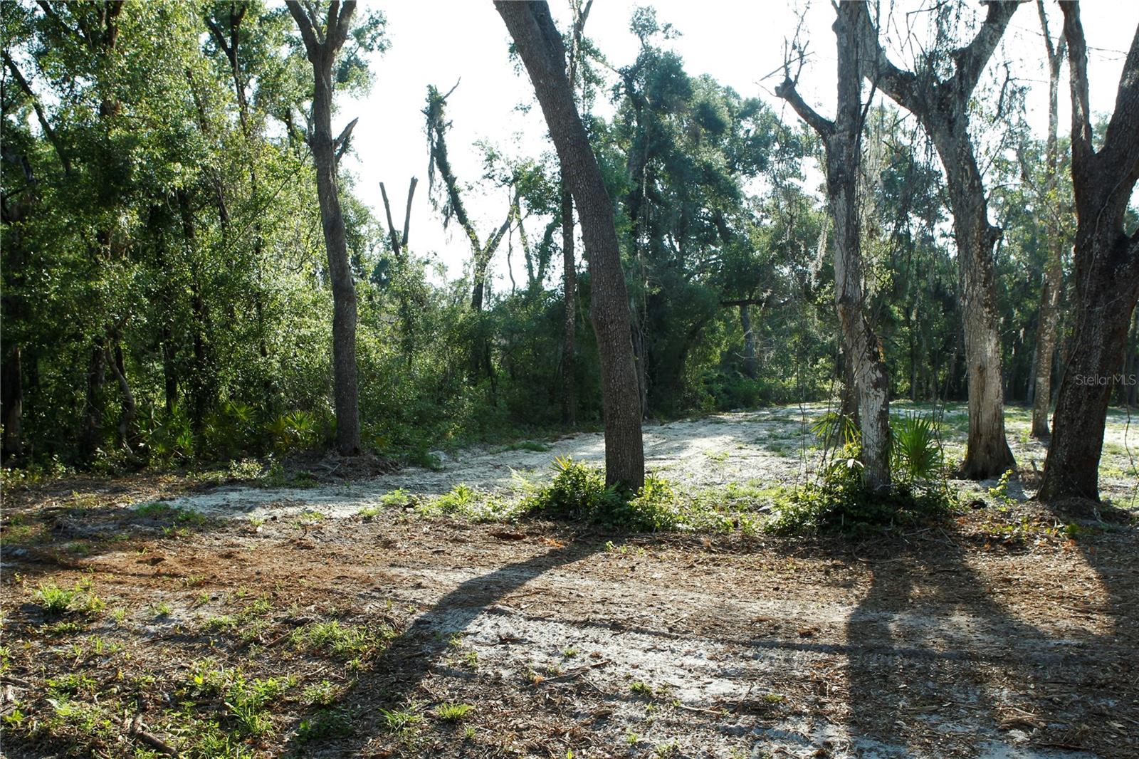 Image 12 of 13 For 0 Juniper Avenue
