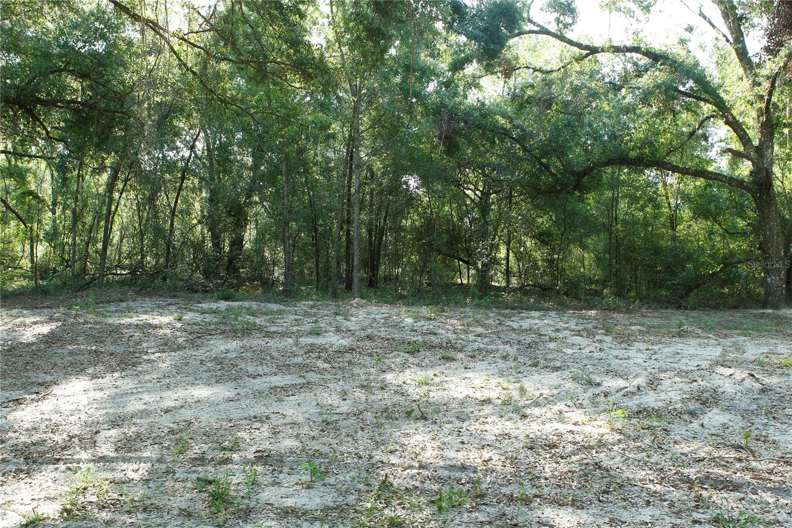 Image 4 of 13 For 0 Juniper Avenue
