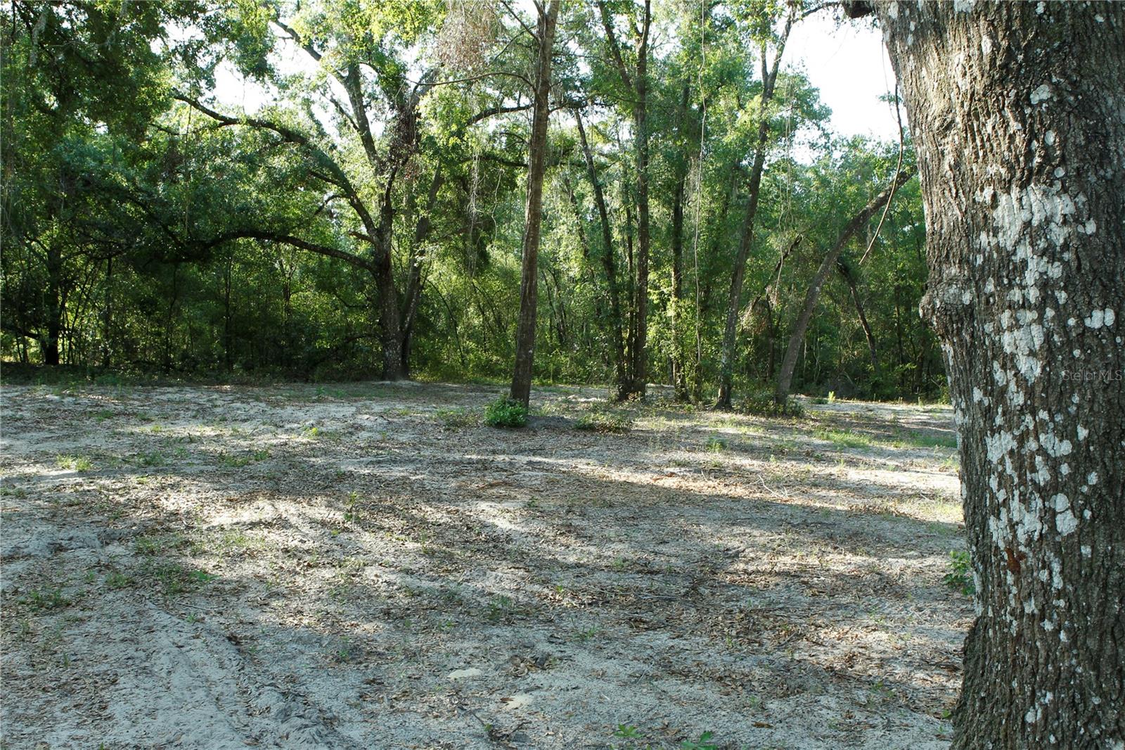 Image 8 of 13 For 0 Juniper Avenue
